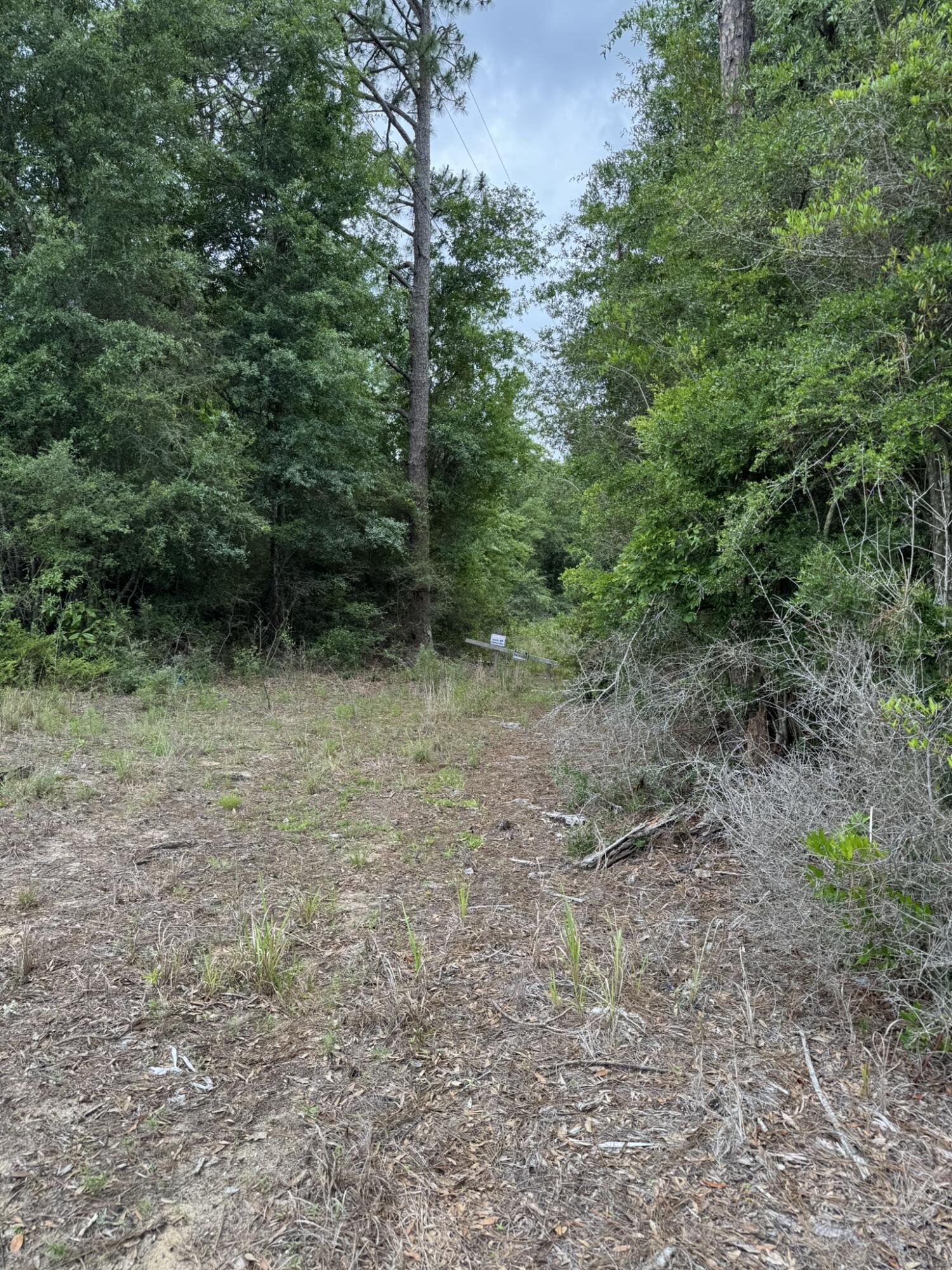 115 Clarks Landing Road Defuniak Springs FL 32433