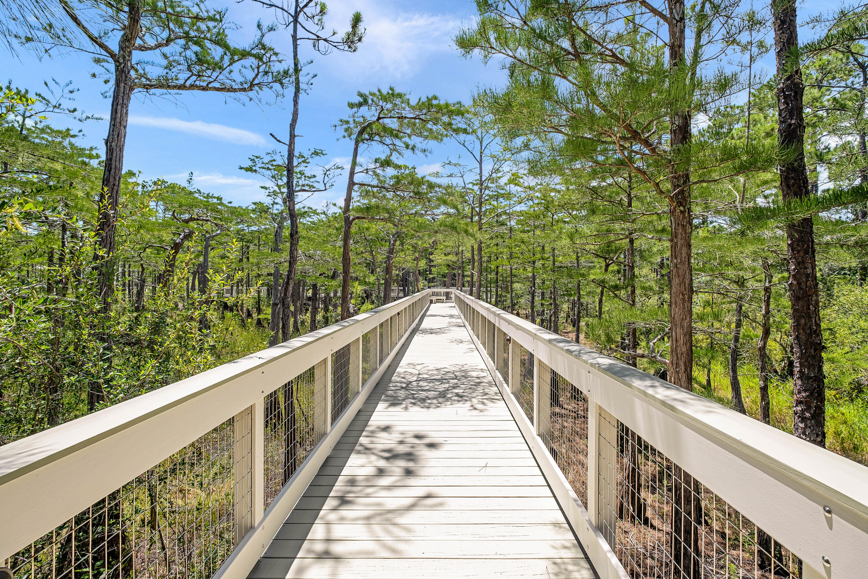 Lot 162 Gulf Walk Santa Rosa Beach FL 32459