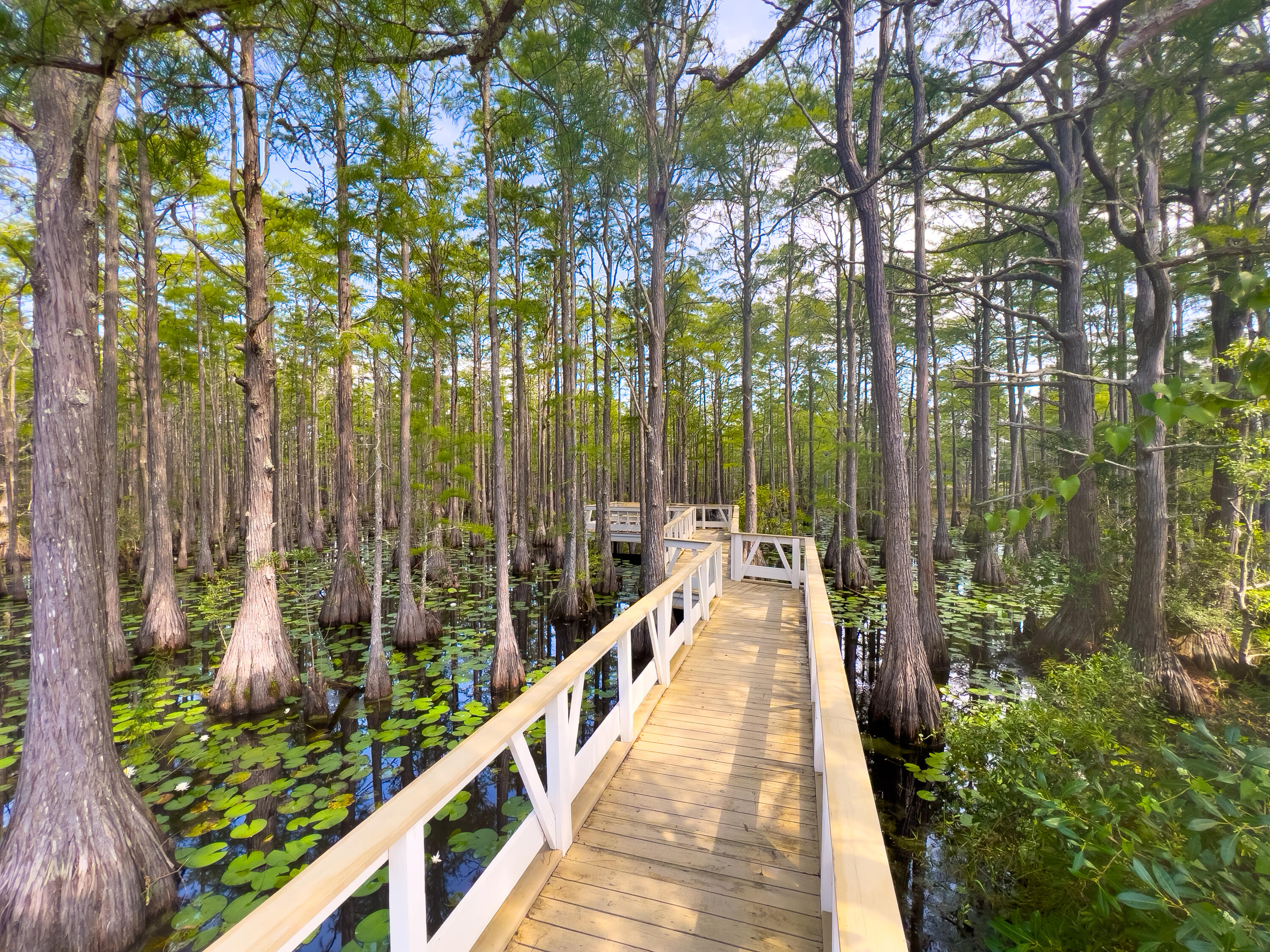 Lot 162 Gulf Walk Santa Rosa Beach FL 32459