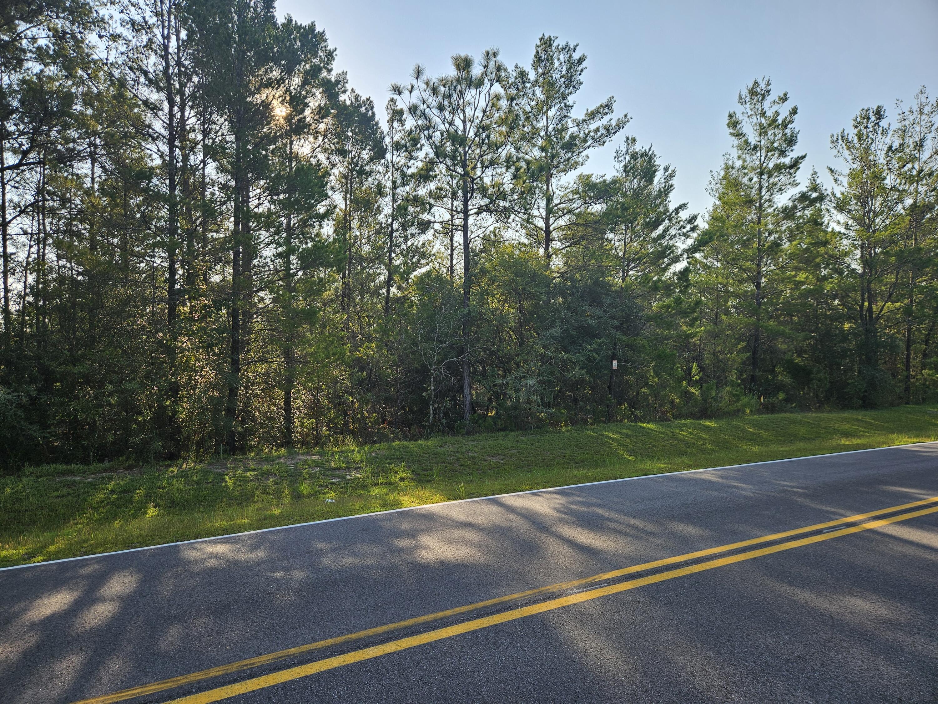 61 Lots Girl Scout Road Defuniak Springs FL 32433