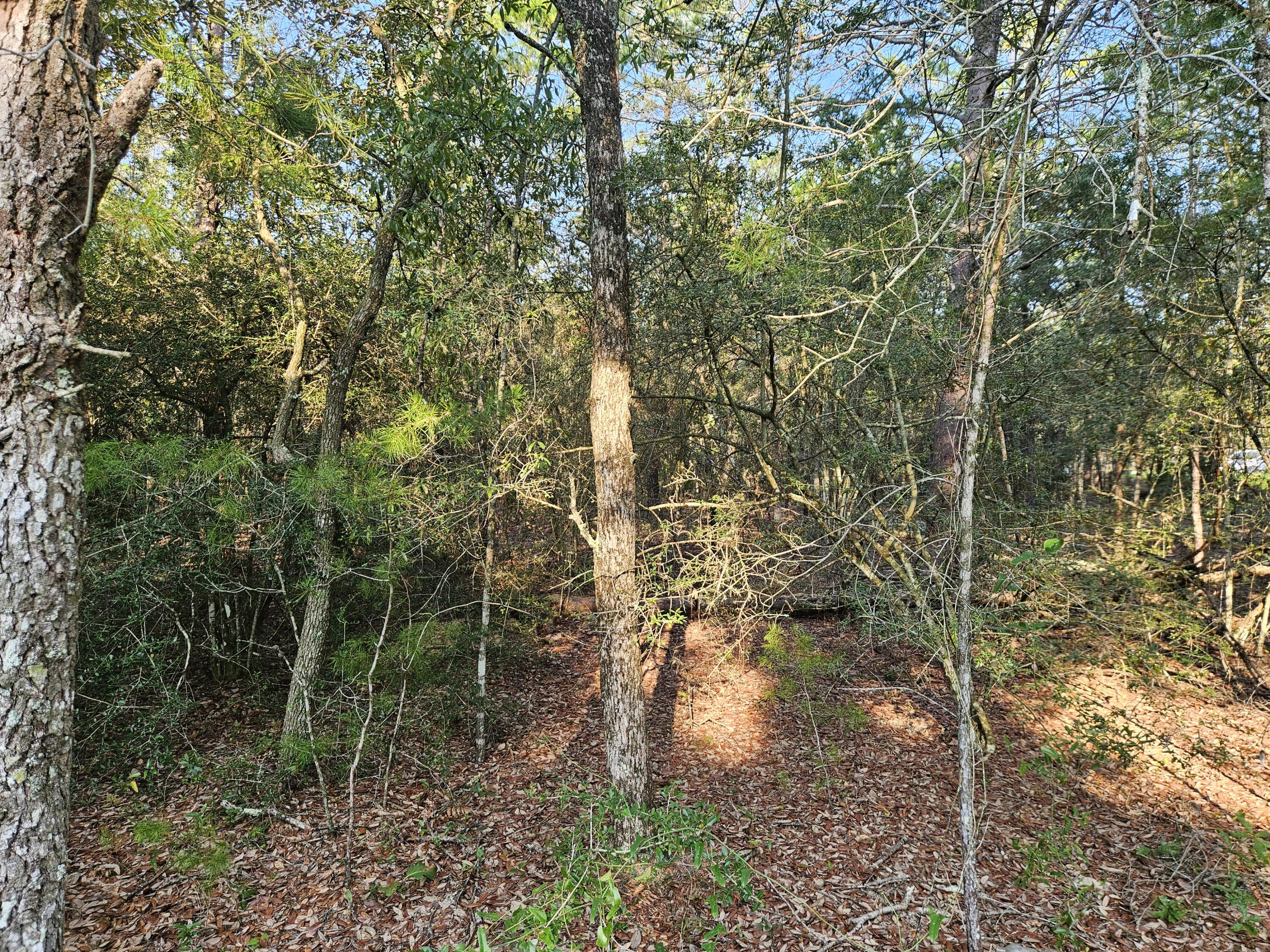 61 Lots Girl Scout Road Defuniak Springs FL 32433