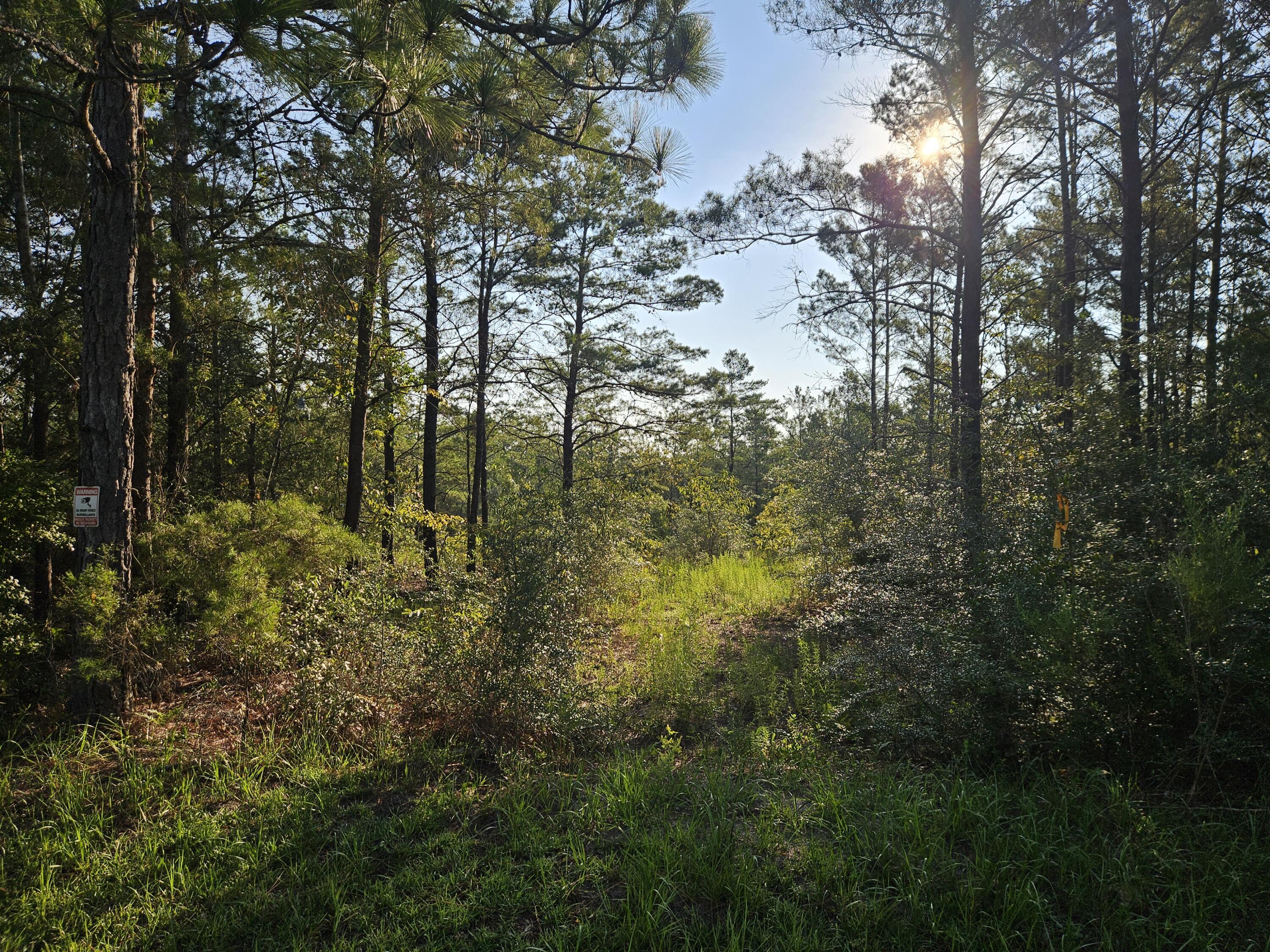 61 Lots Girl Scout Road Defuniak Springs FL 32433