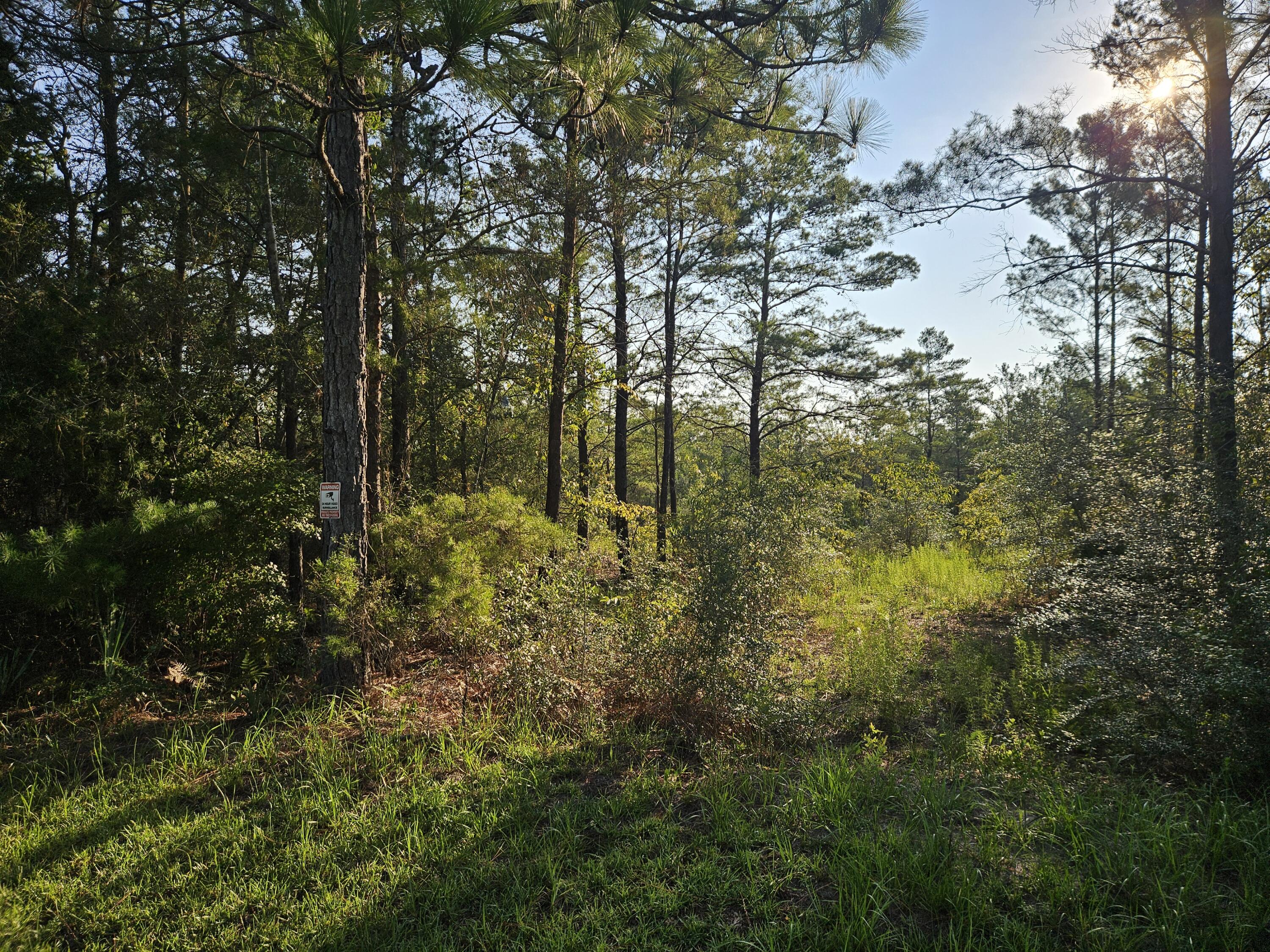 61 Lots Girl Scout Road Defuniak Springs FL 32433