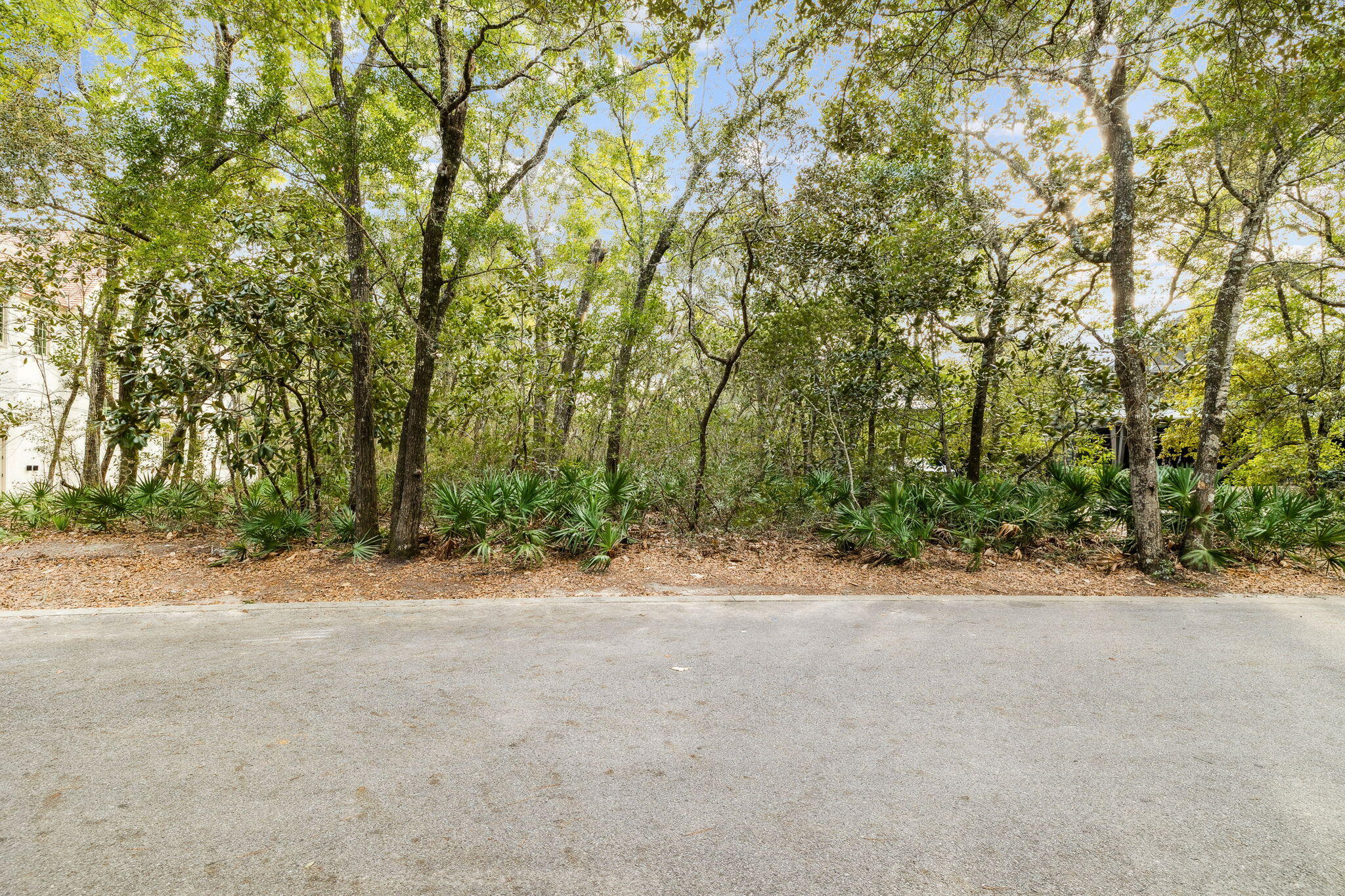 Lot 22 Nicole Frst Drive Santa Rosa Beach FL 32459