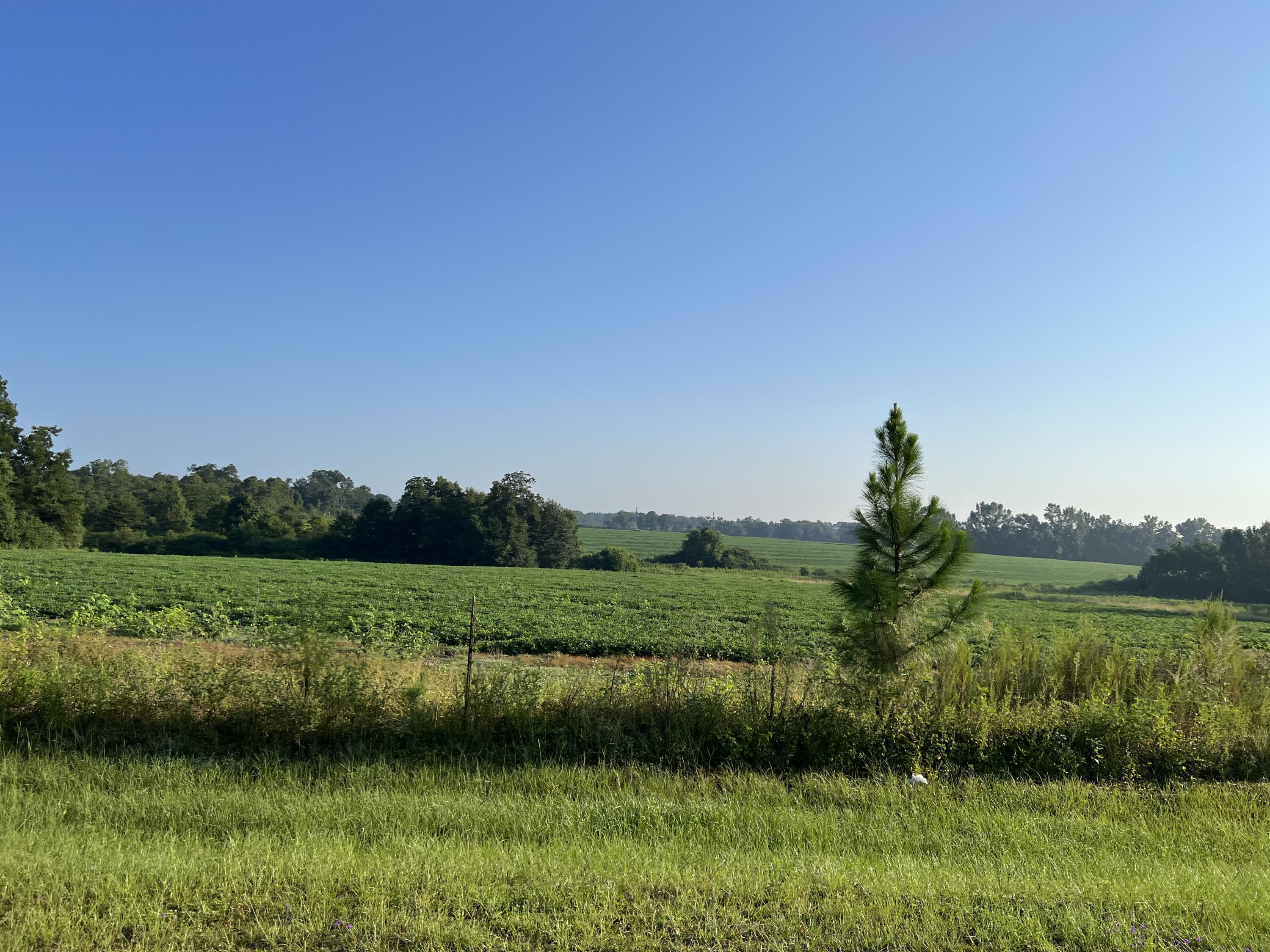 3915 3rd Avenue Laurel Hill FL 32567