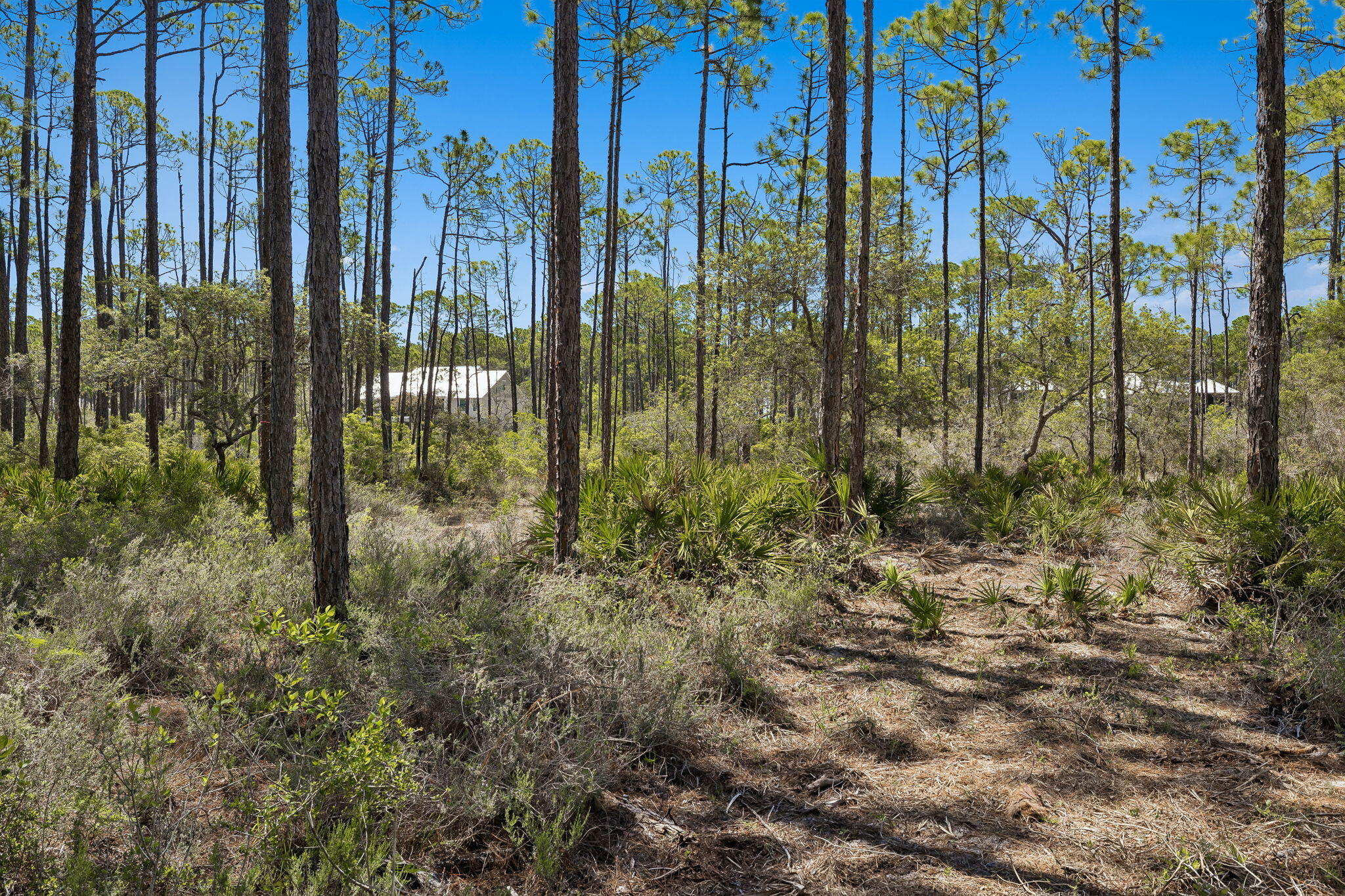 6315 Turkey Cove Lane Panama City Beach FL 32413