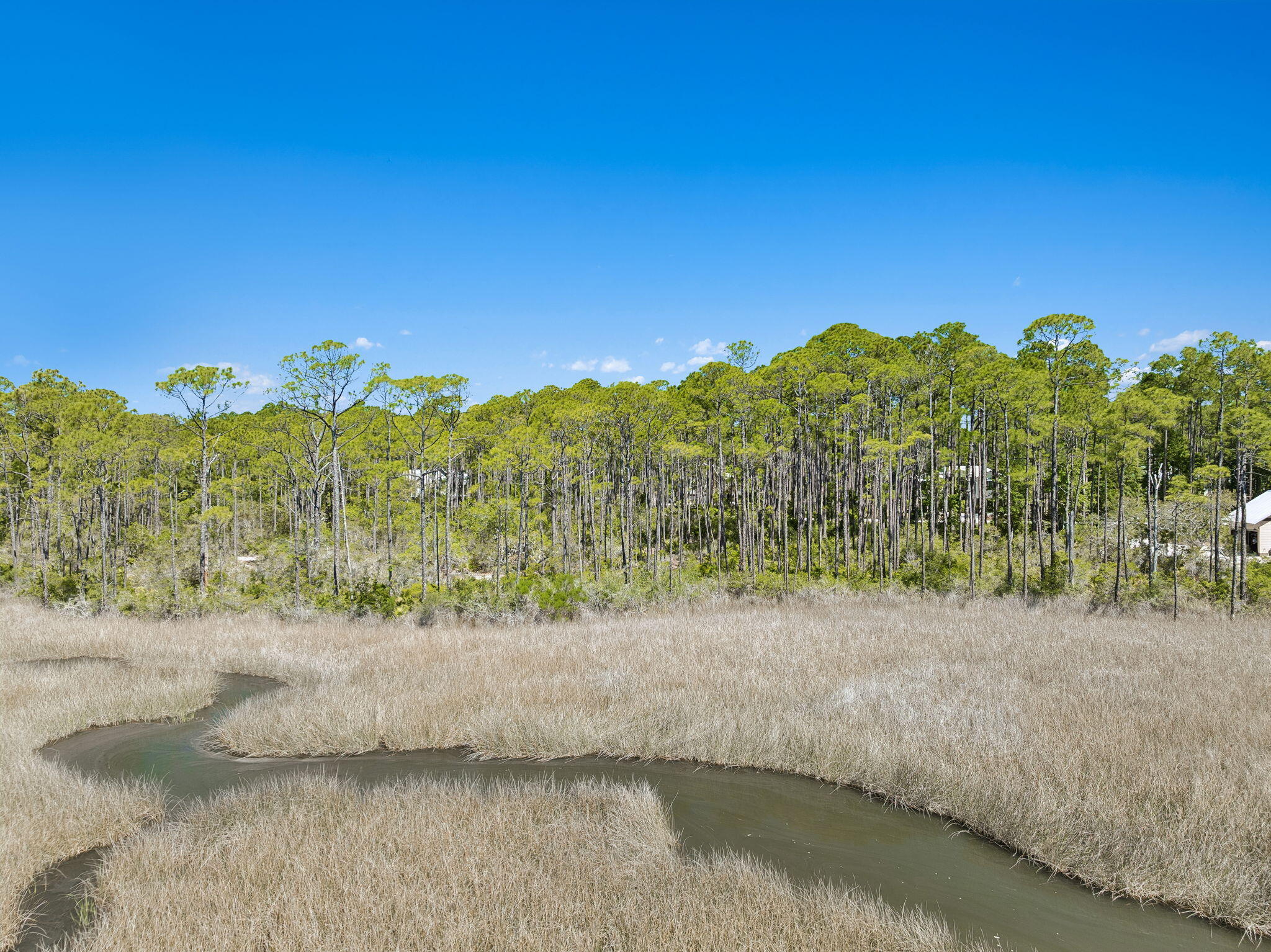6315 Turkey Cove Lane Panama City Beach FL 32413