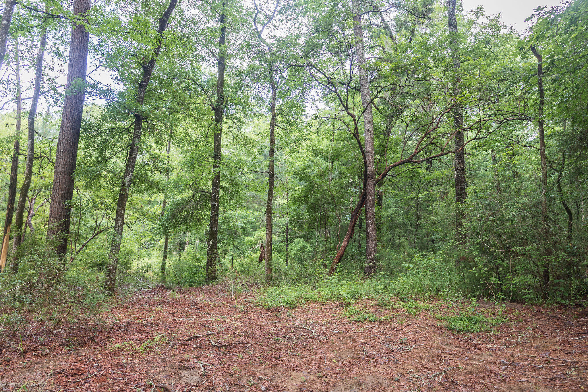 1966 Tower Lane Westville FL 32464