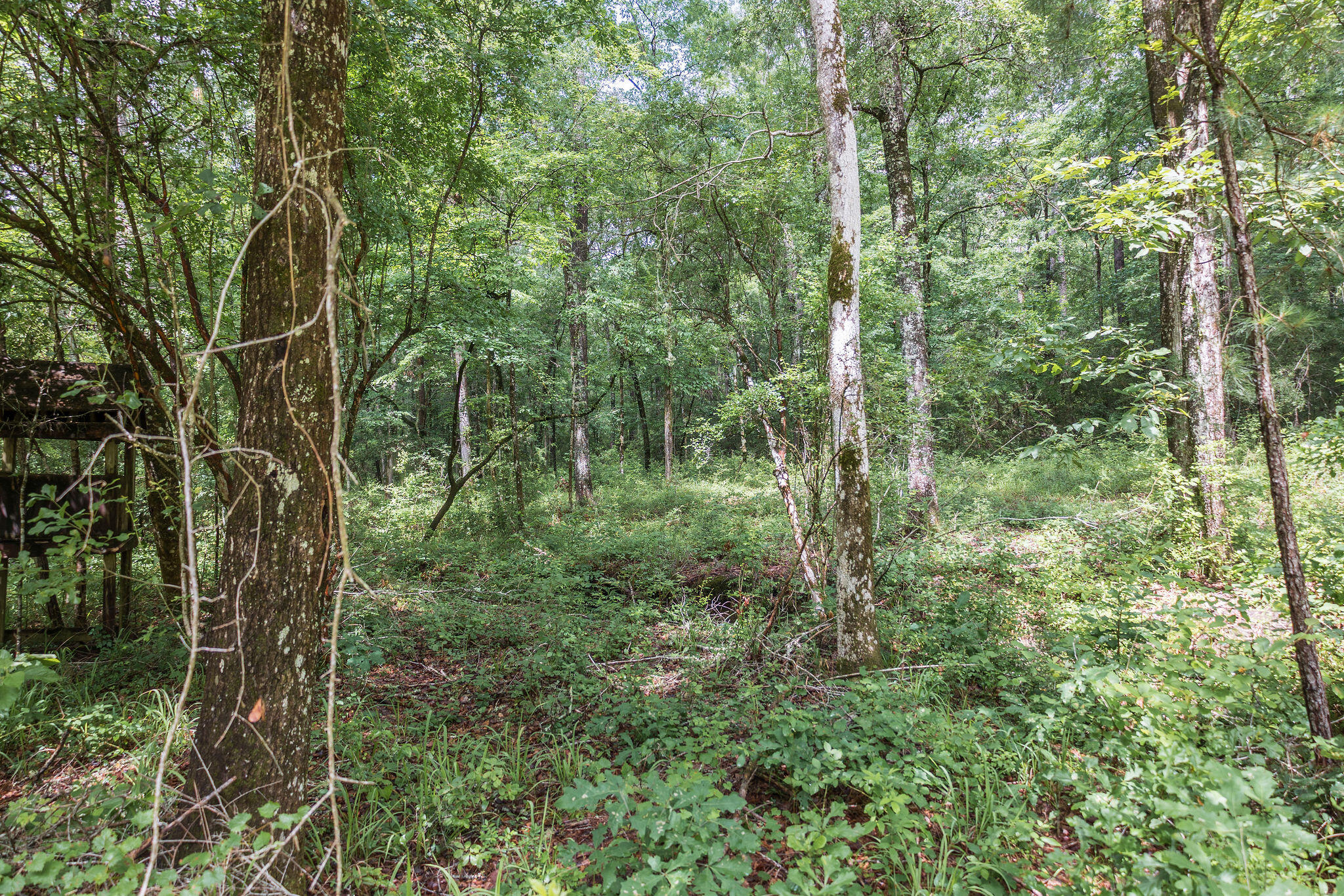 1966 Tower Lane Westville FL 32464