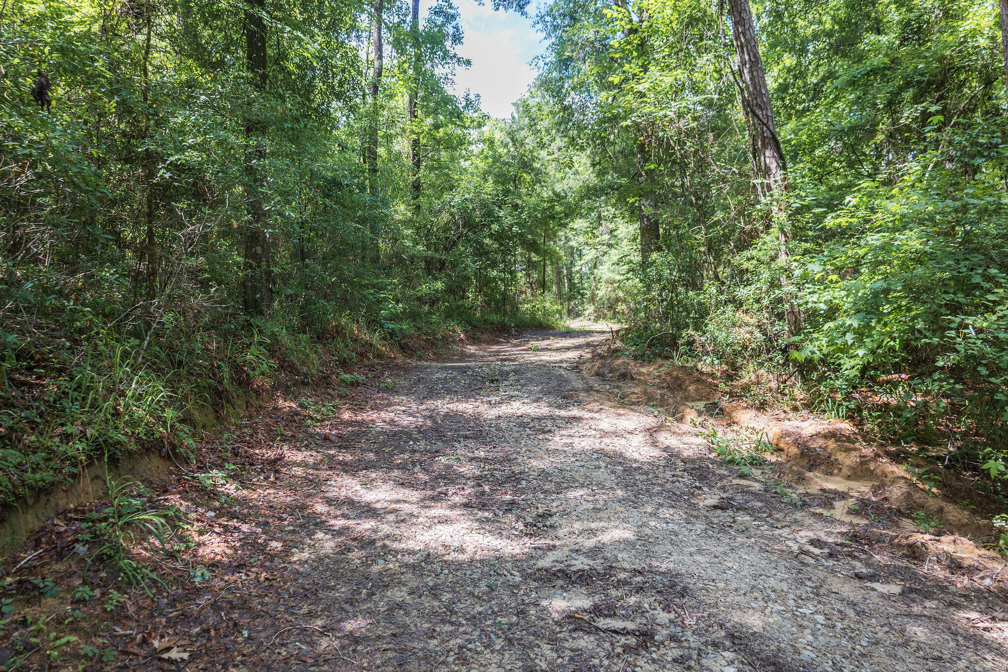 1966 Tower Lane Westville FL 32464