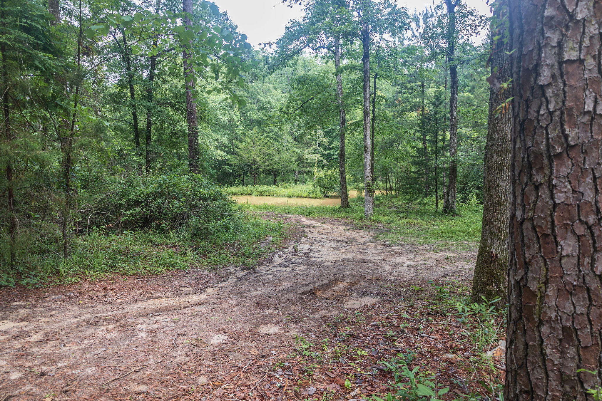 1966 Tower Lane Westville FL 32464