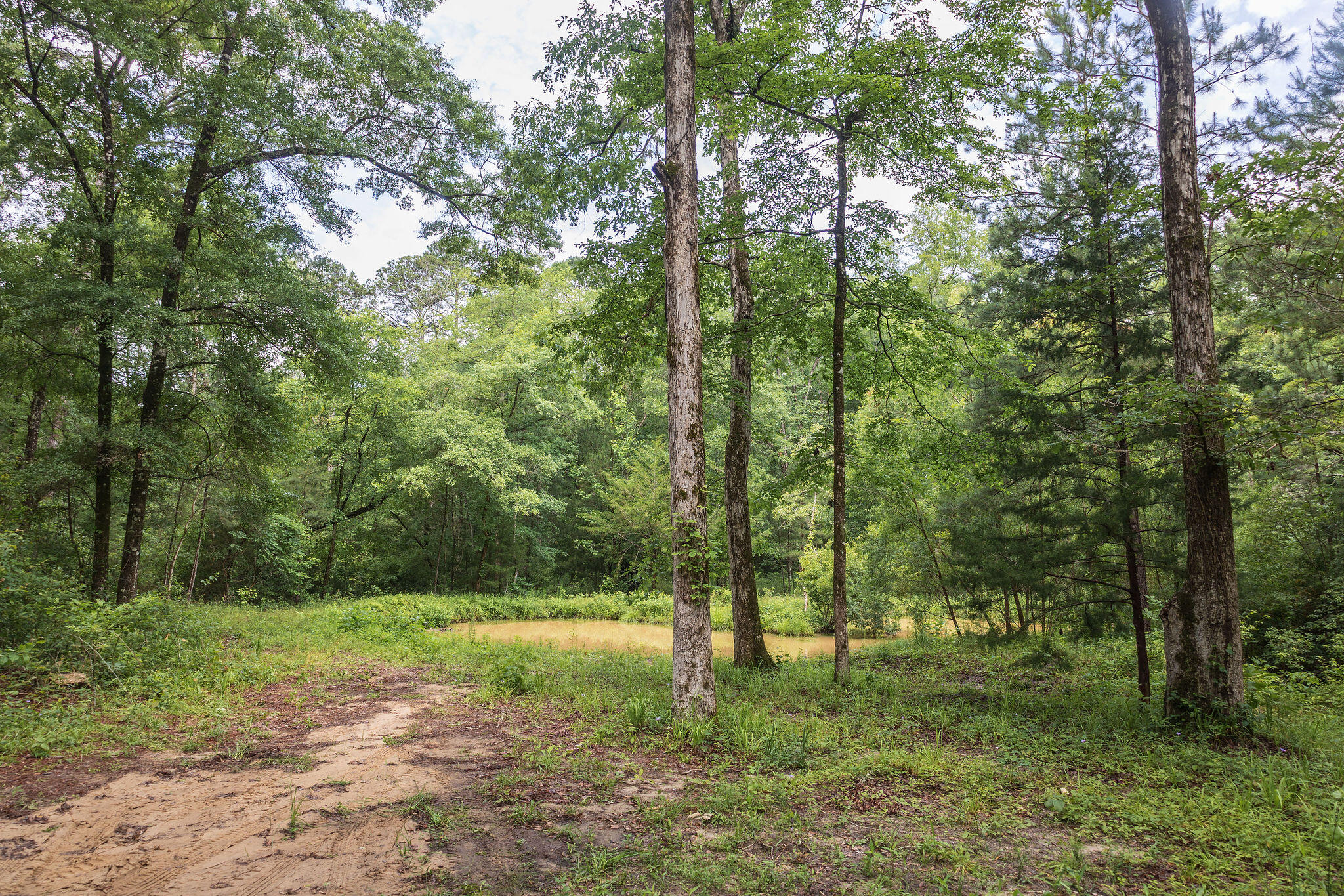 1966 Tower Lane Westville FL 32464