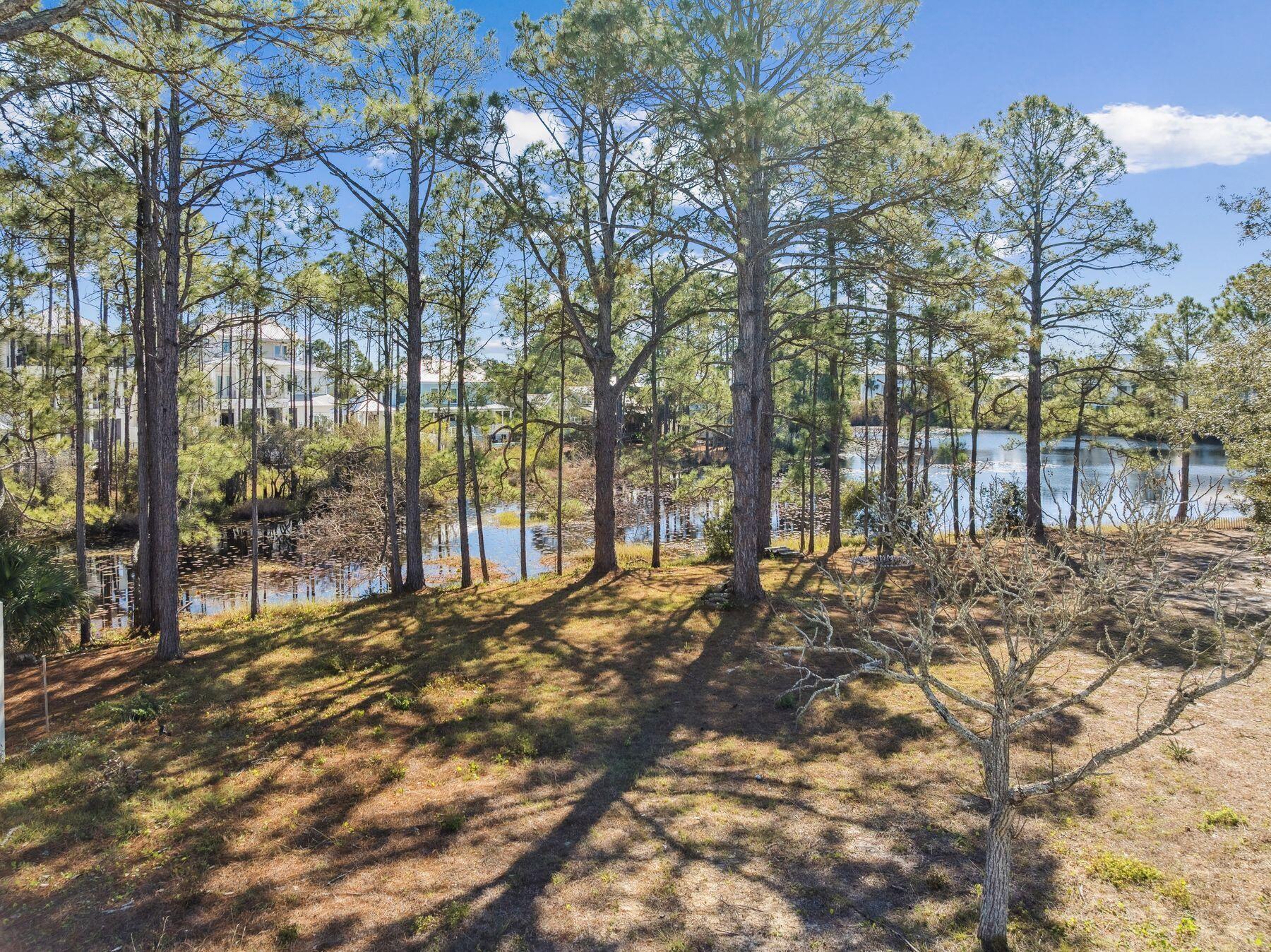 65 Lakeview Drive Santa Rosa Beach FL 32459