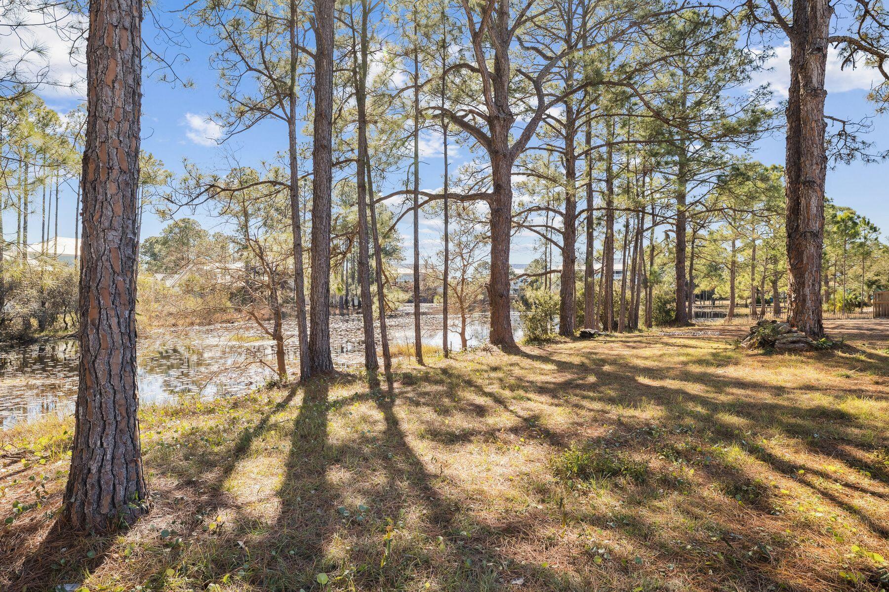 65 Lakeview Drive Santa Rosa Beach FL 32459
