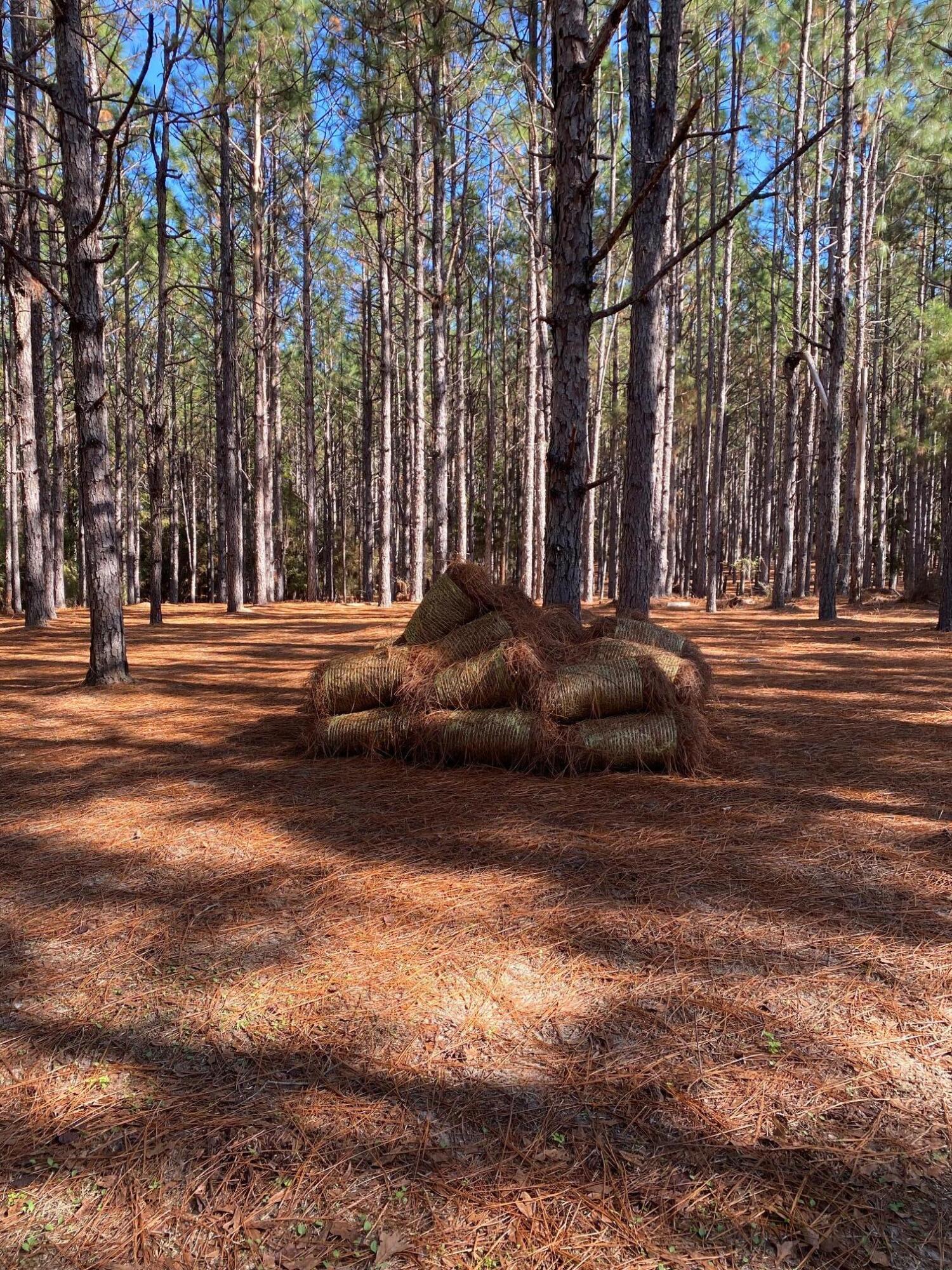 Xxx Bear Bay Flats Road Laurel Hill FL 32567