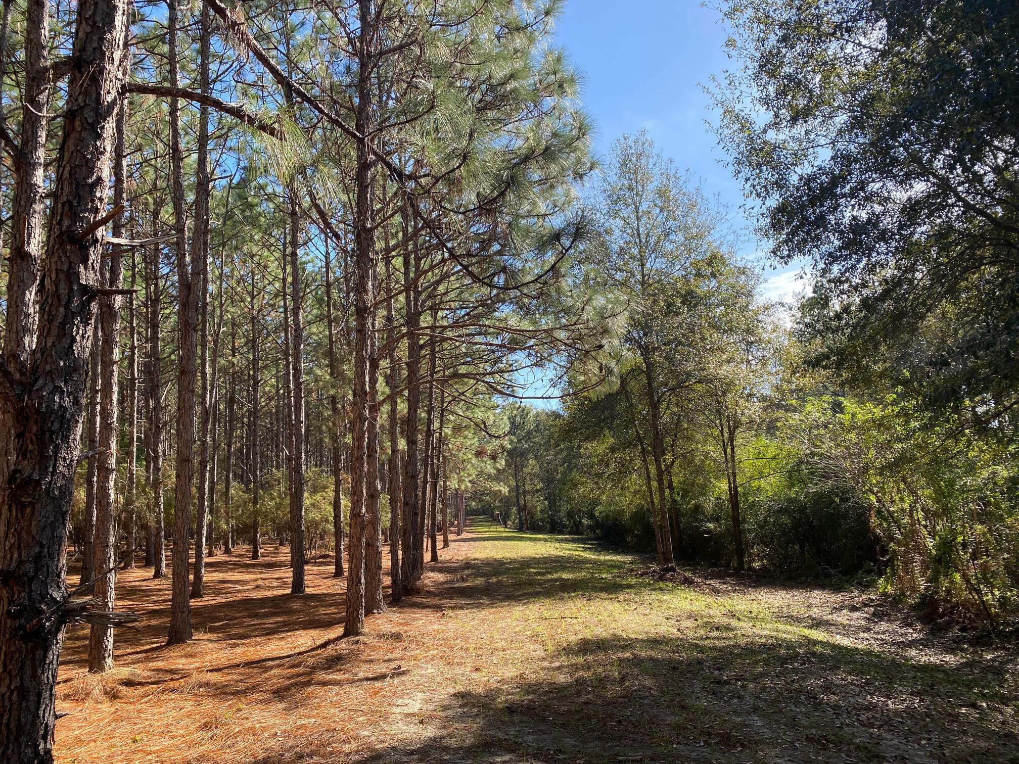 Xxx Bear Bay Flats Road Laurel Hill FL 32567