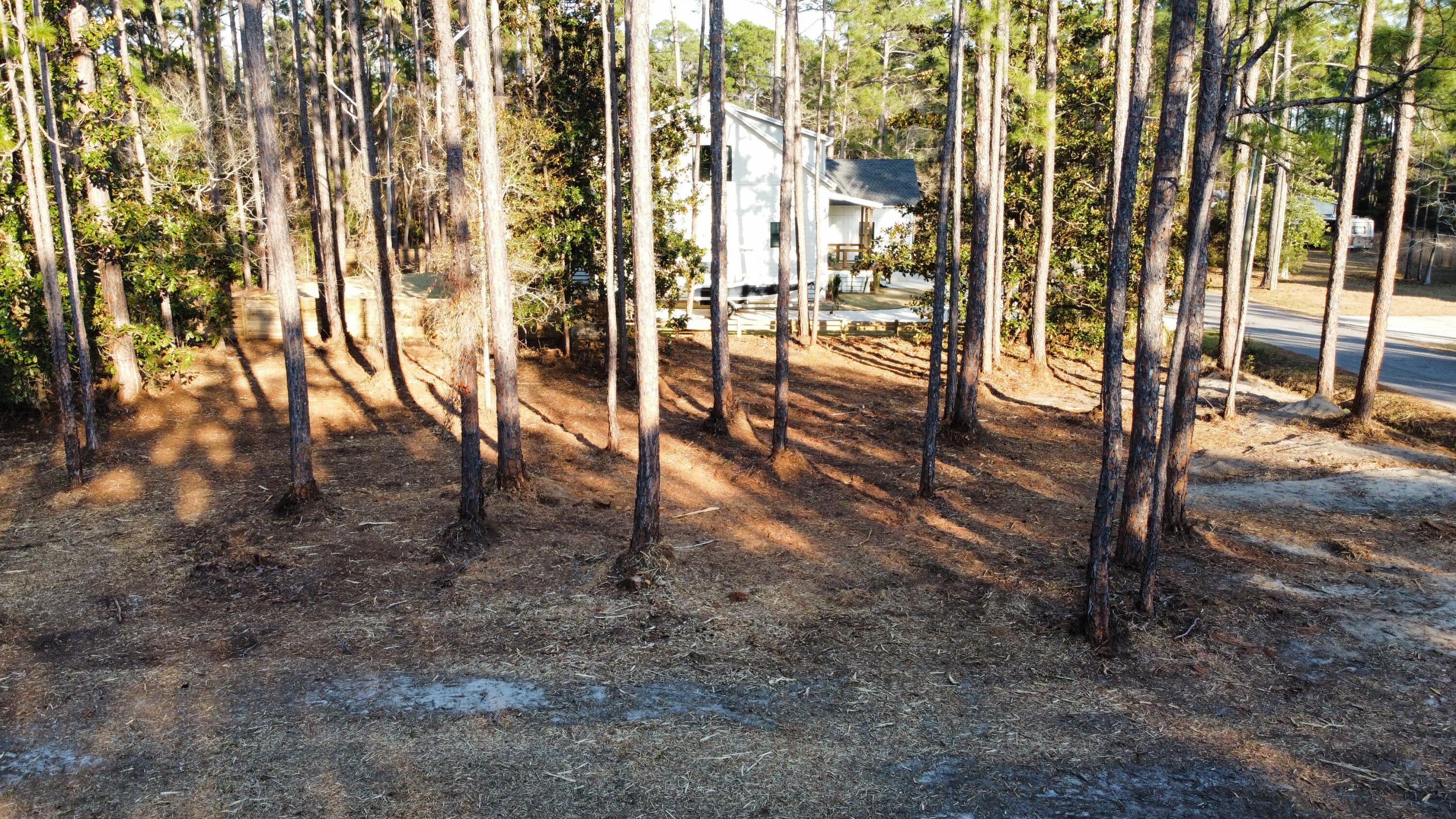 Lot 1 Crissman Road Santa Rosa Beach FL 32459