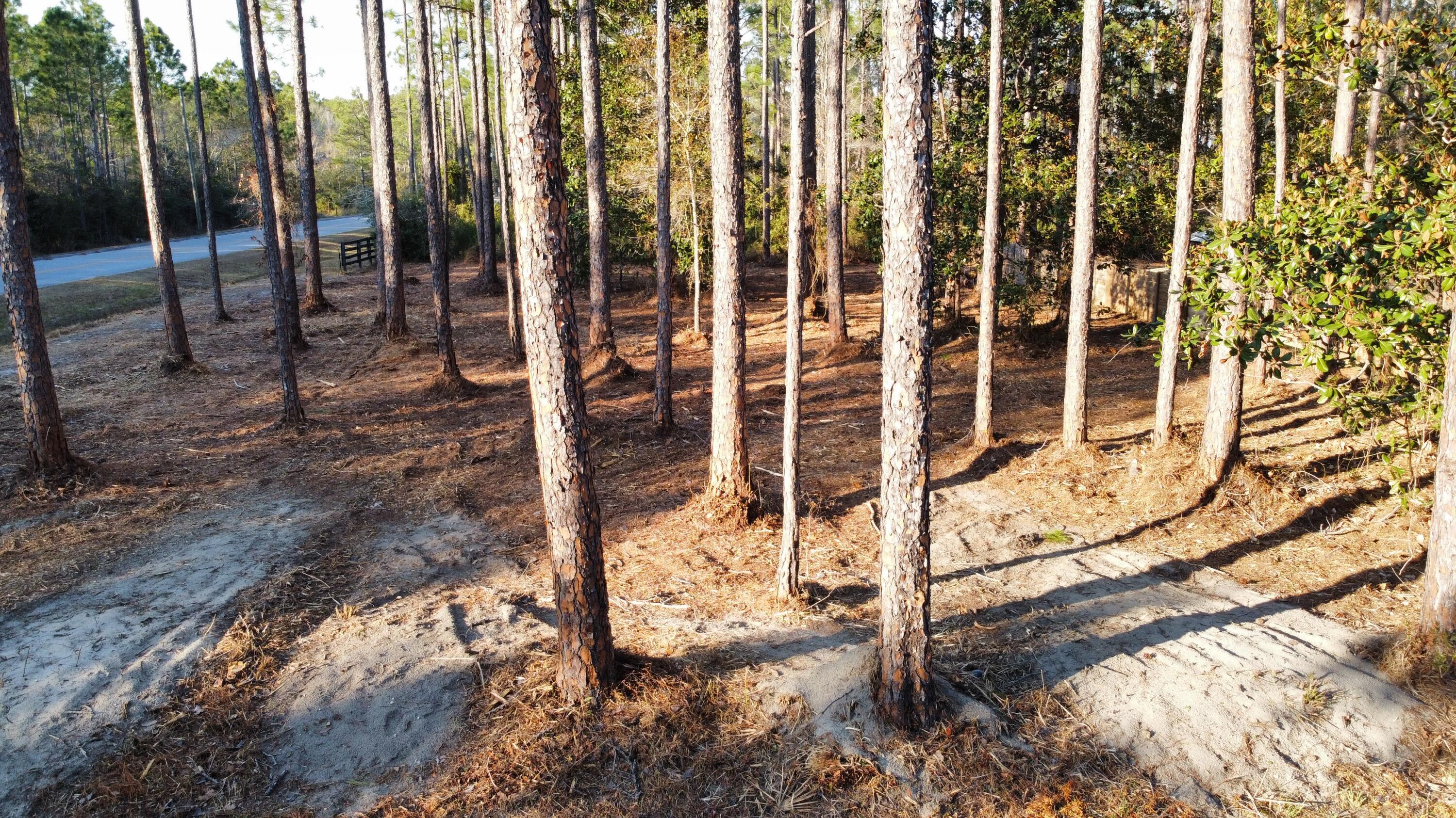 Lot 1 Crissman Road Santa Rosa Beach FL 32459