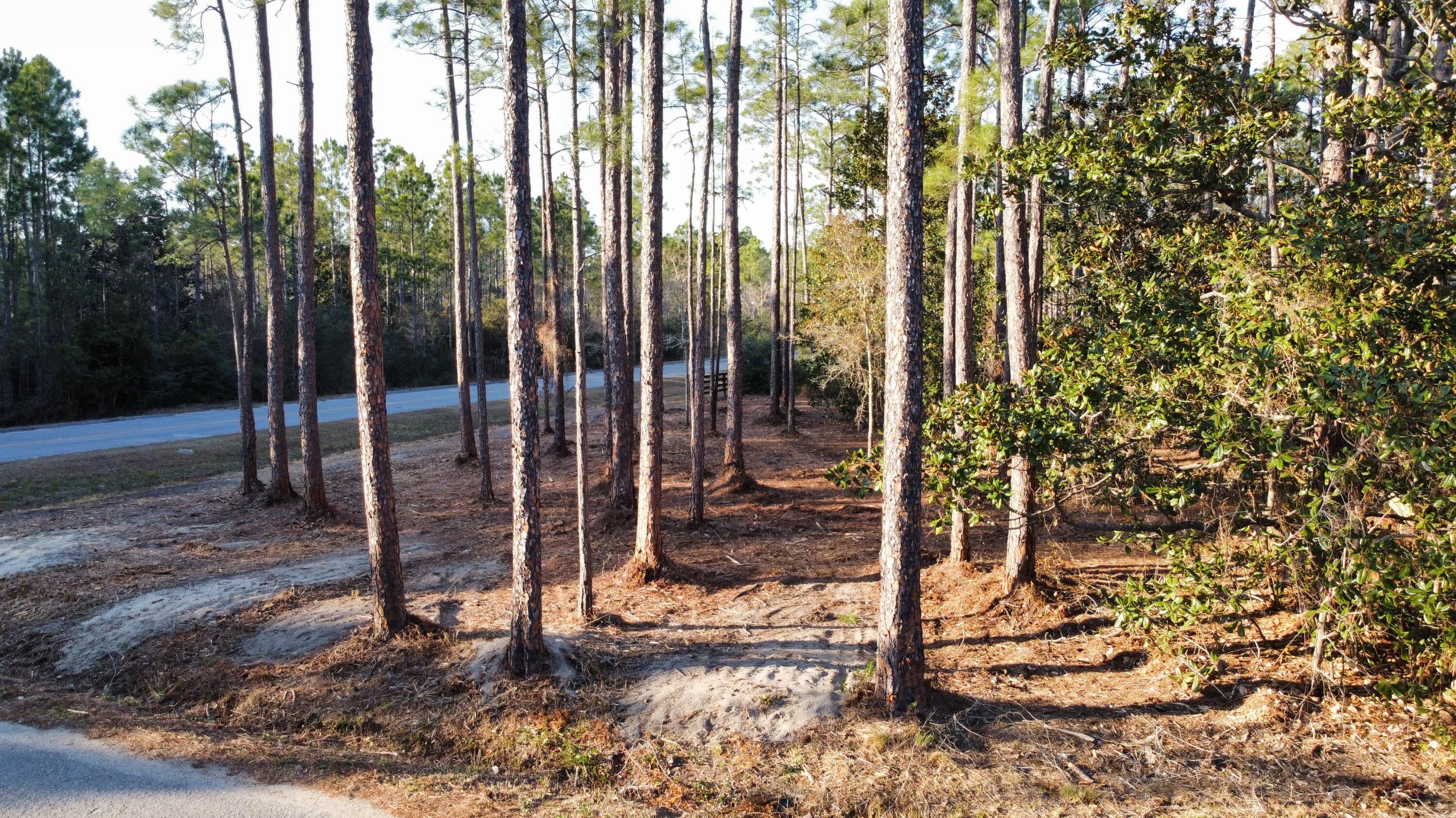 Lot 1 Crissman Road Santa Rosa Beach FL 32459