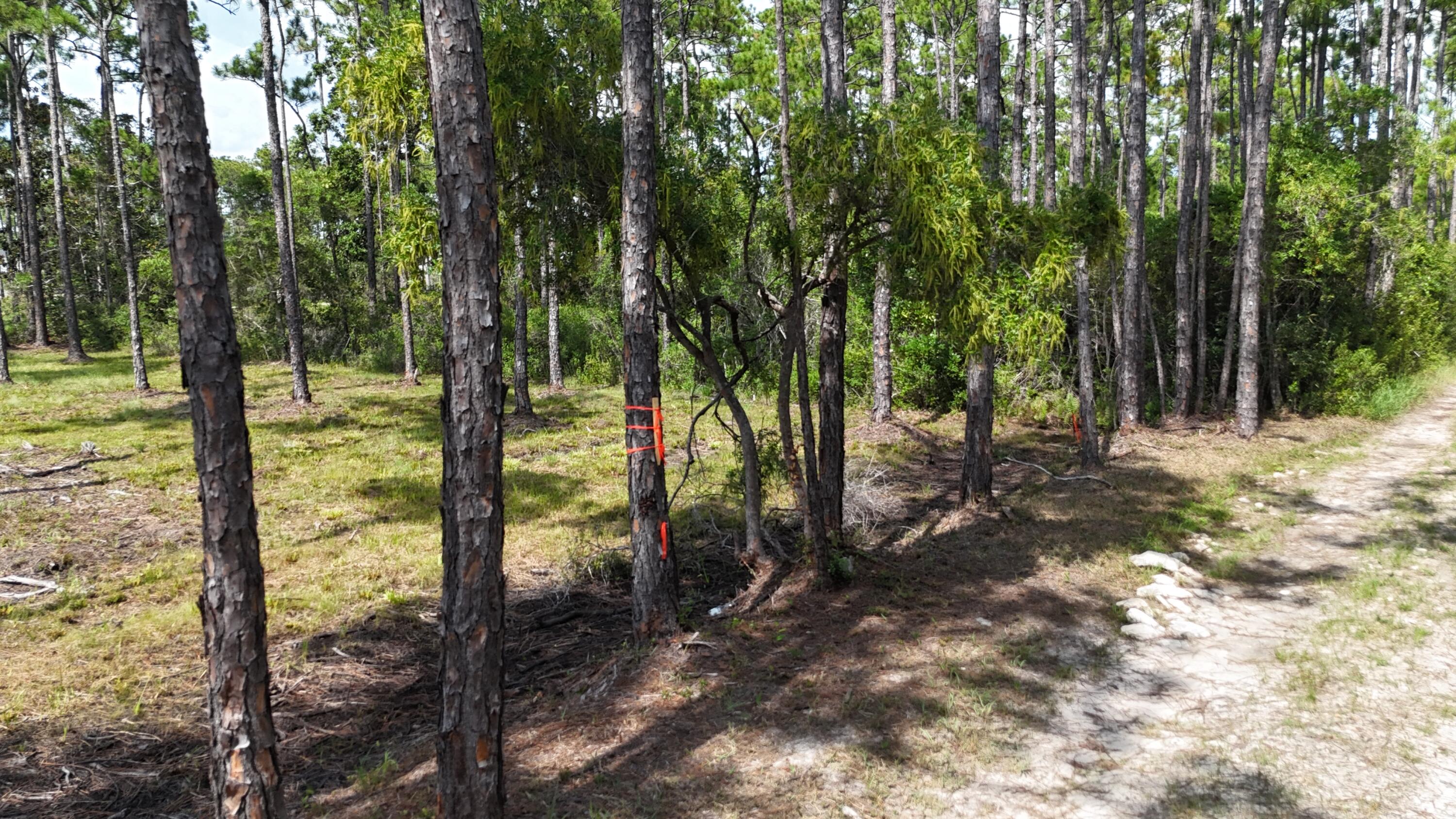 Lot 4 Foxmire Farm Road Santa Rosa Beach FL 32459