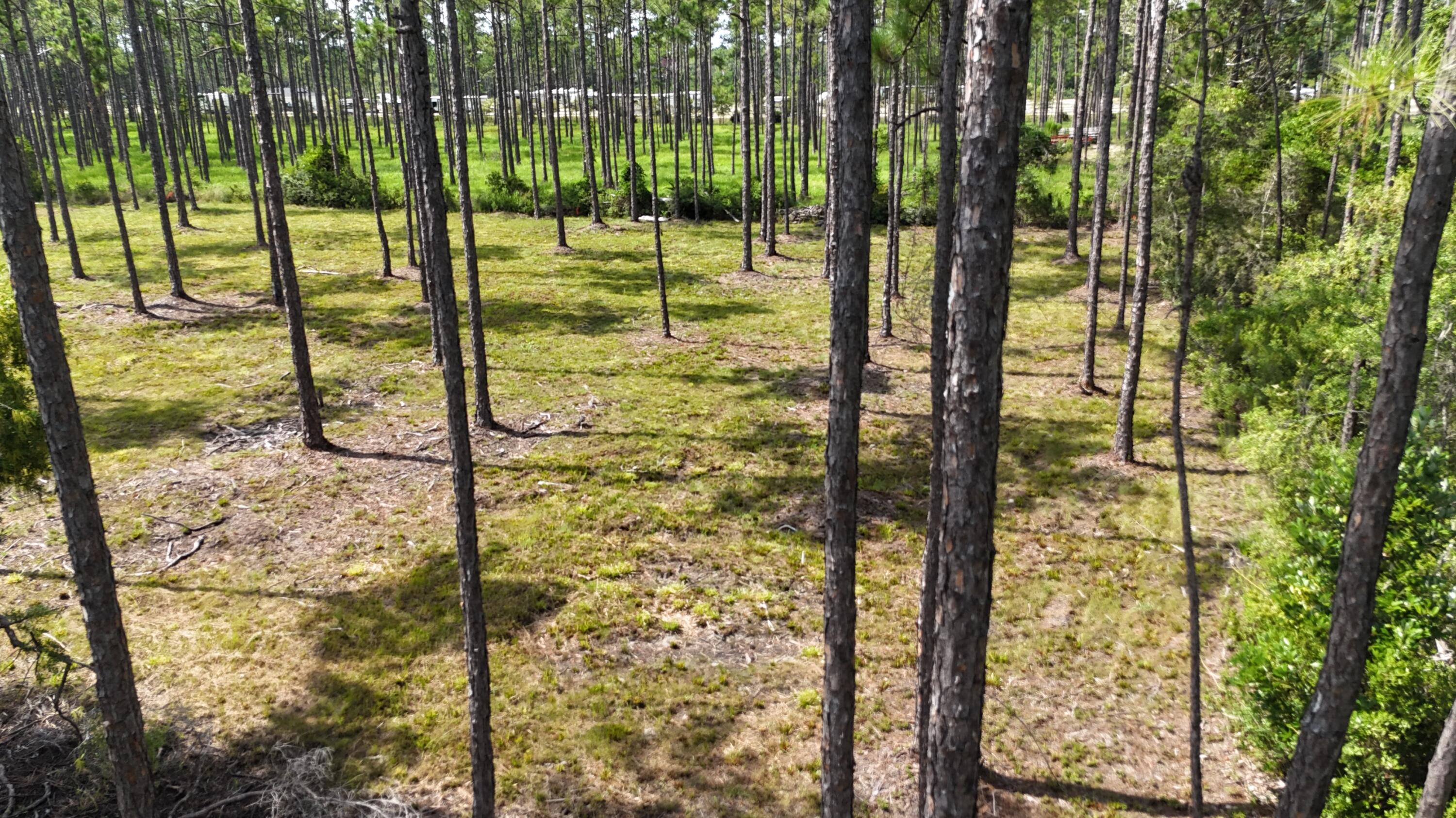 Lot 4 Foxmire Farm Road Santa Rosa Beach FL 32459