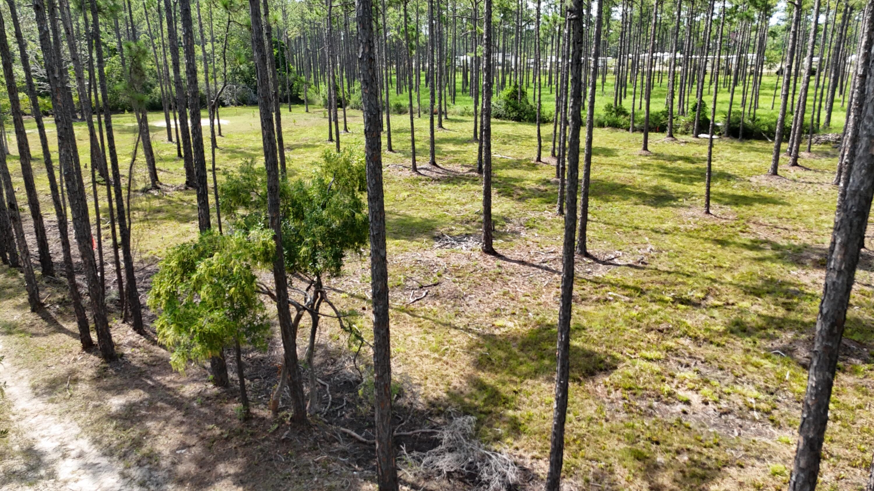 Lot 4 Foxmire Farm Road Santa Rosa Beach FL 32459