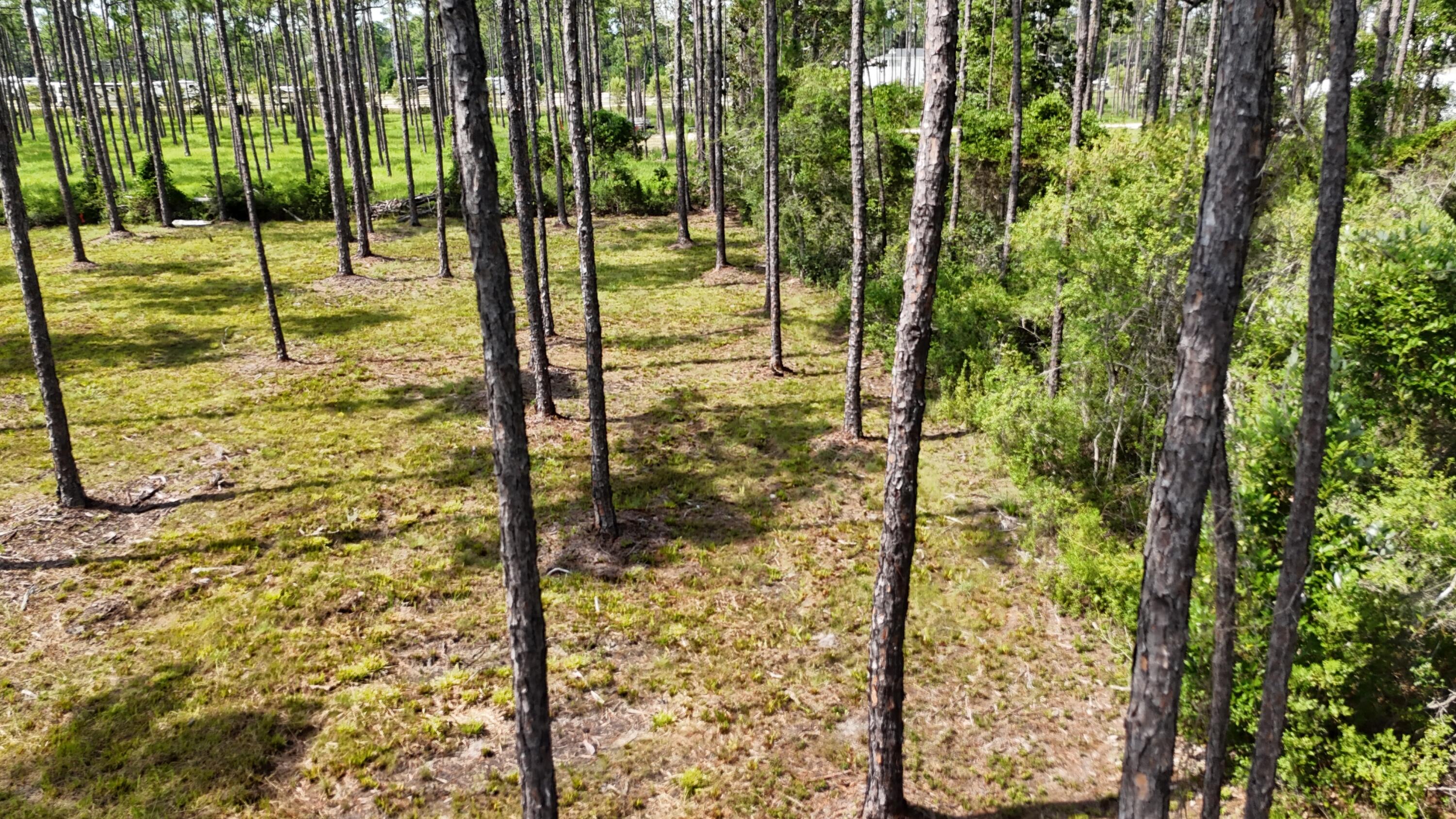 Lot 4 Foxmire Farm Road Santa Rosa Beach FL 32459