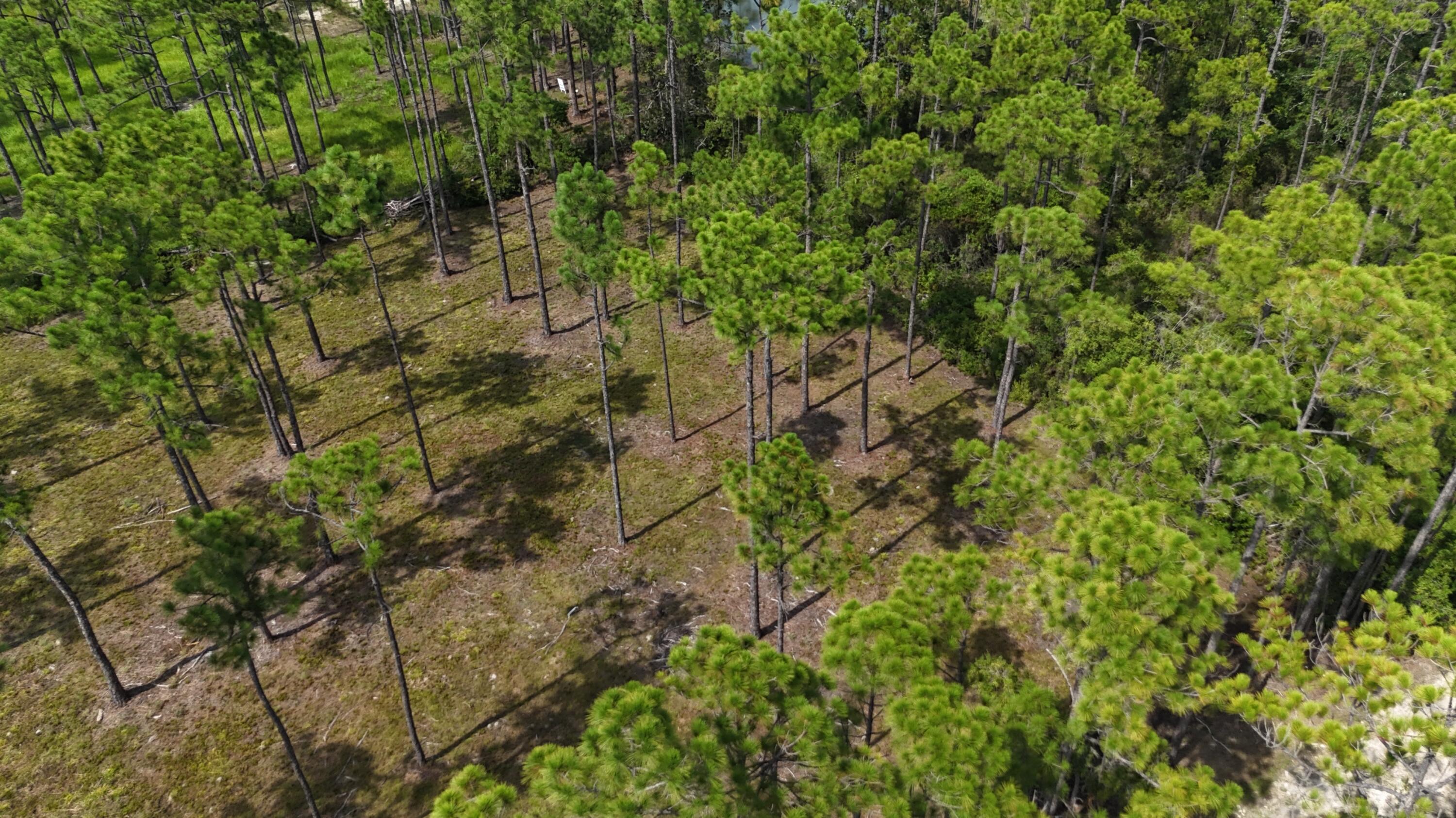 Lot 4 Foxmire Farm Road Santa Rosa Beach FL 32459