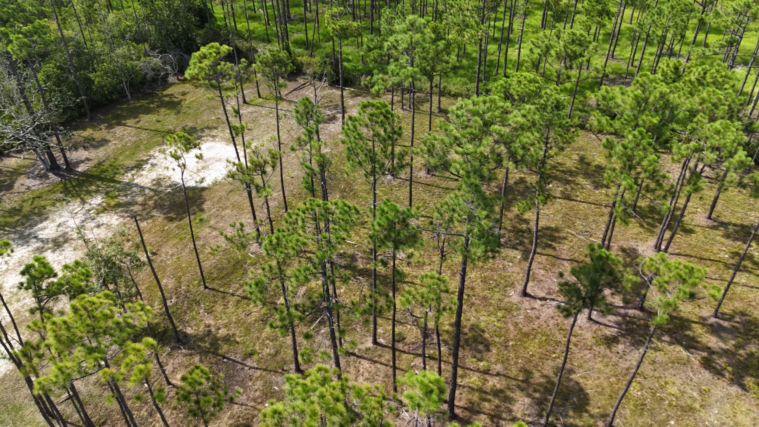 Lot 4 Foxmire Farm Road Santa Rosa Beach FL 32459