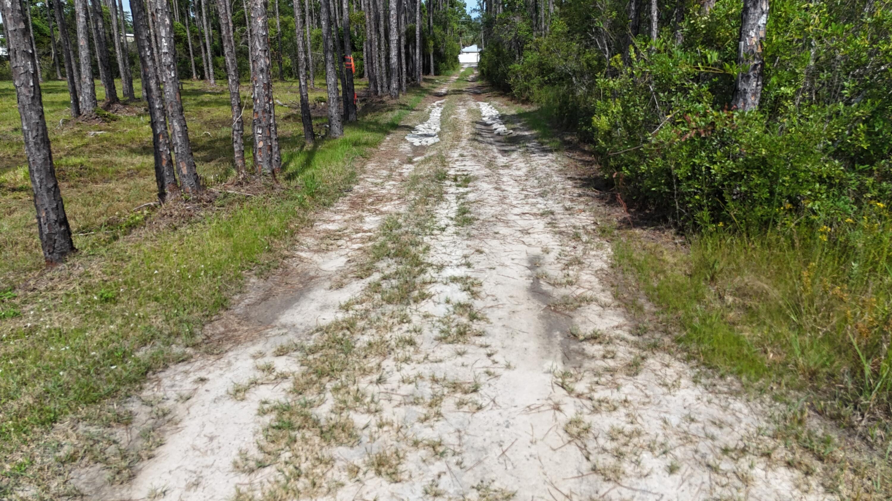 Lot 4 Foxmire Farm Road Santa Rosa Beach FL 32459