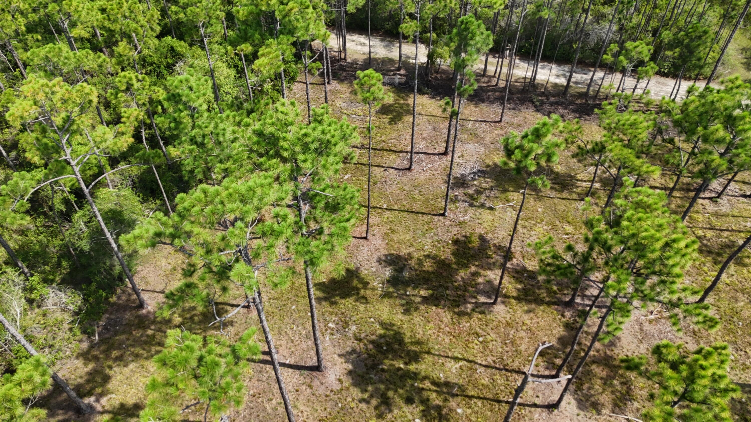 Lot 4 Foxmire Farm Road Santa Rosa Beach FL 32459