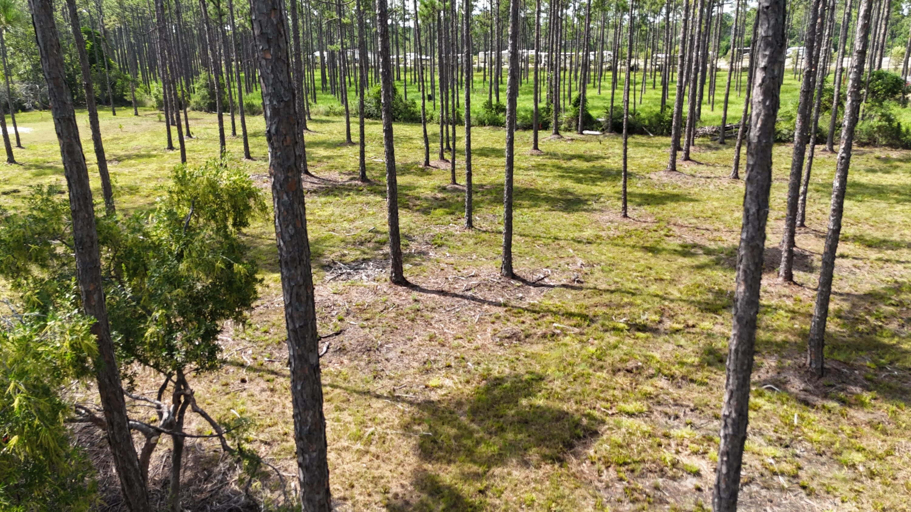 Lot 4 Foxmire Farm Road Santa Rosa Beach FL 32459