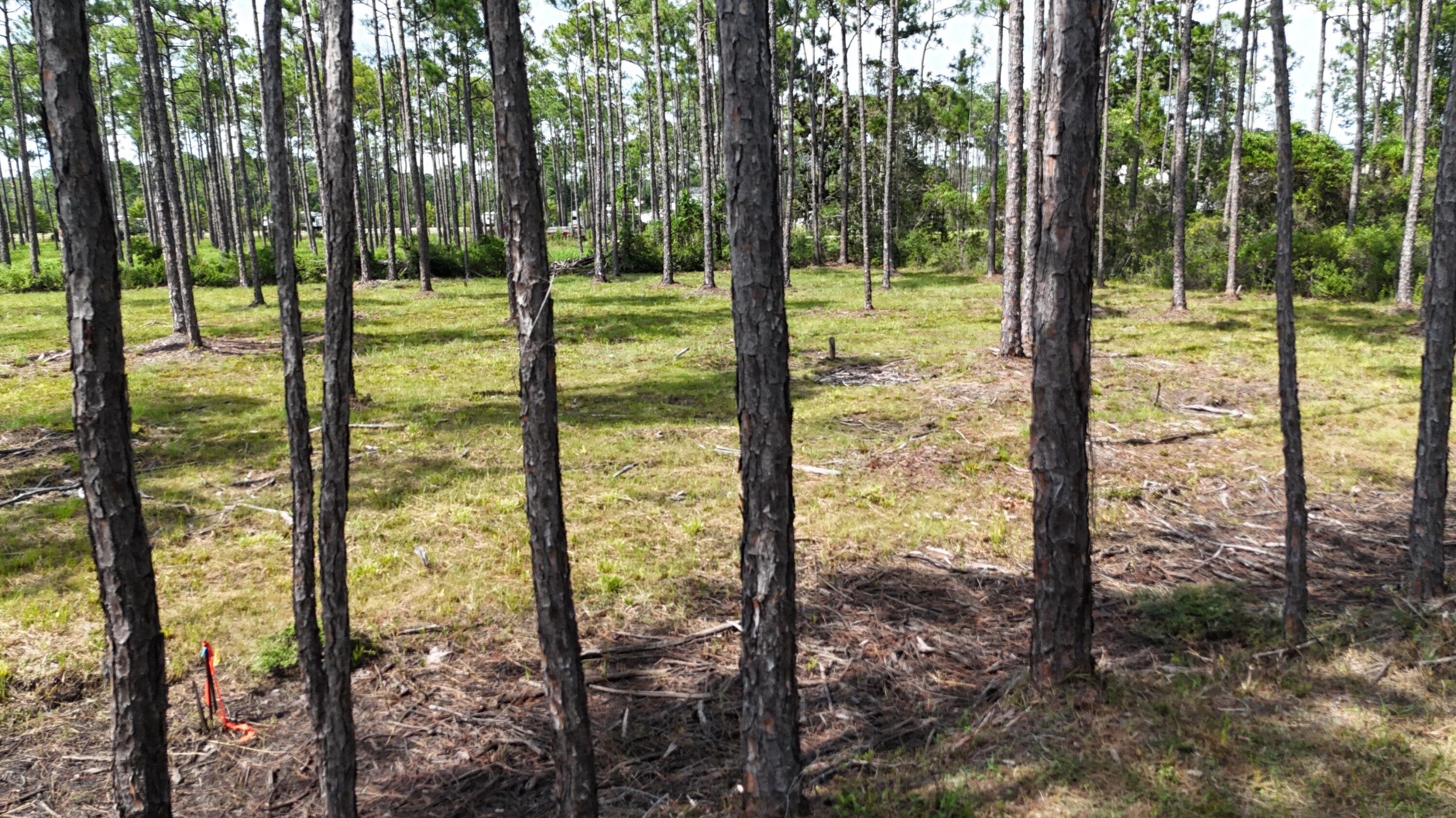 Lot 4 Foxmire Farm Road Santa Rosa Beach FL 32459