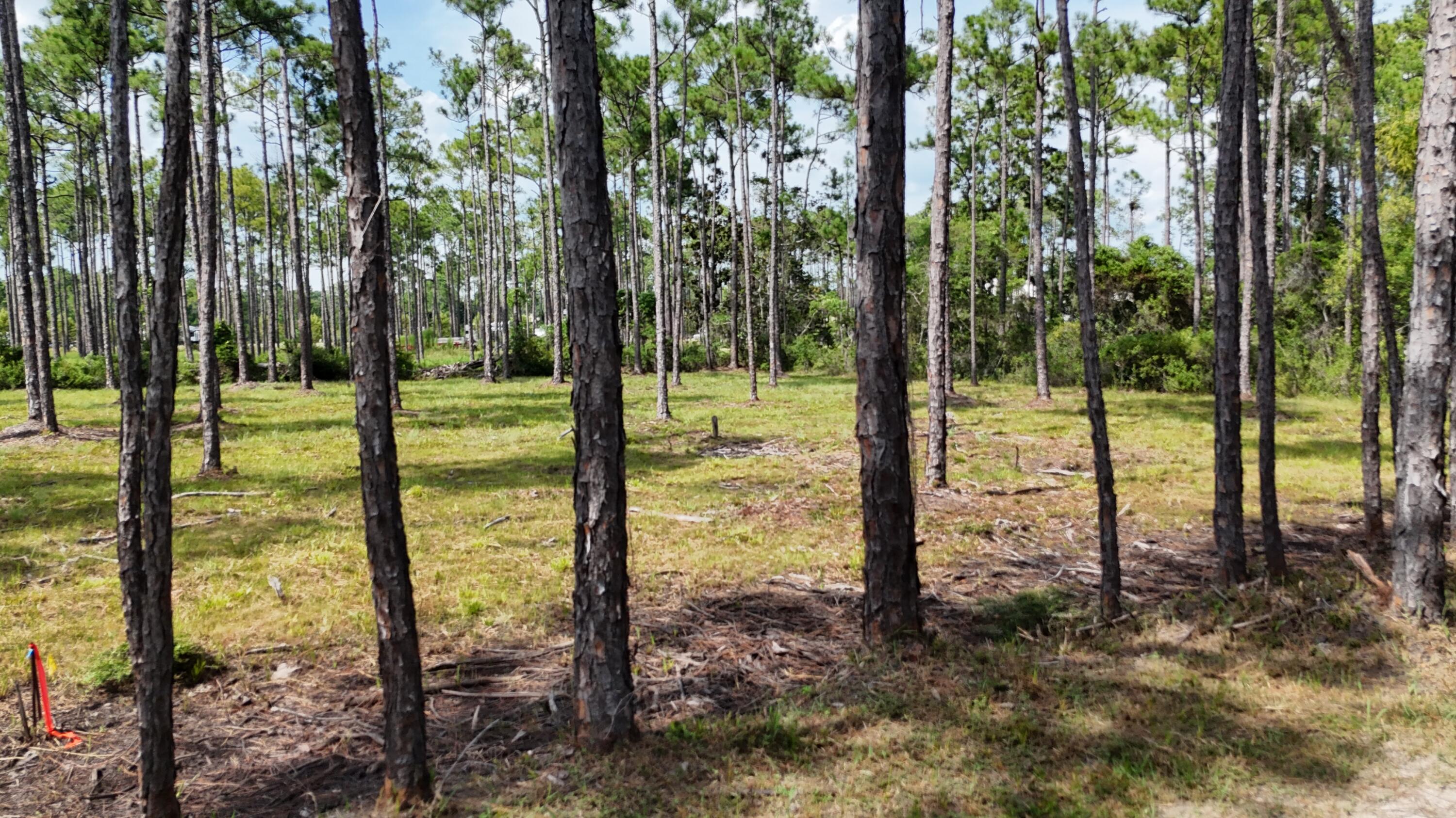 Lot 4 Foxmire Farm Road Santa Rosa Beach FL 32459