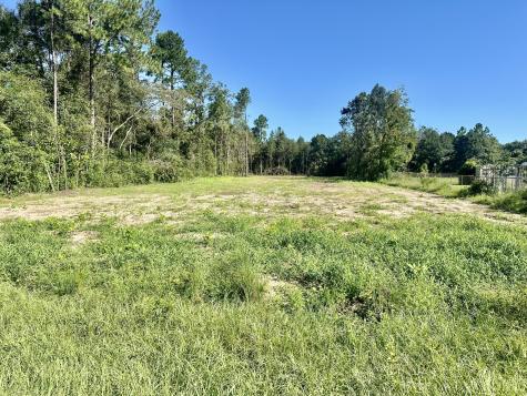 TBD Vinson Ray Road Baker FL 32531