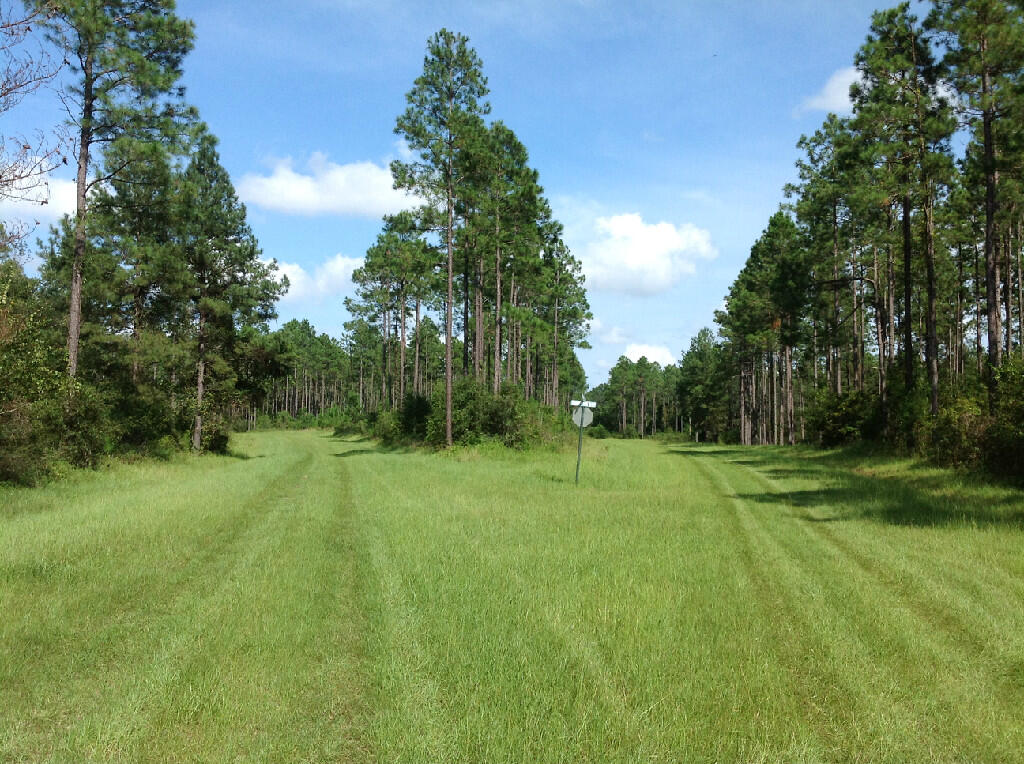 48 White Oak Lane Bonifay FL 32425