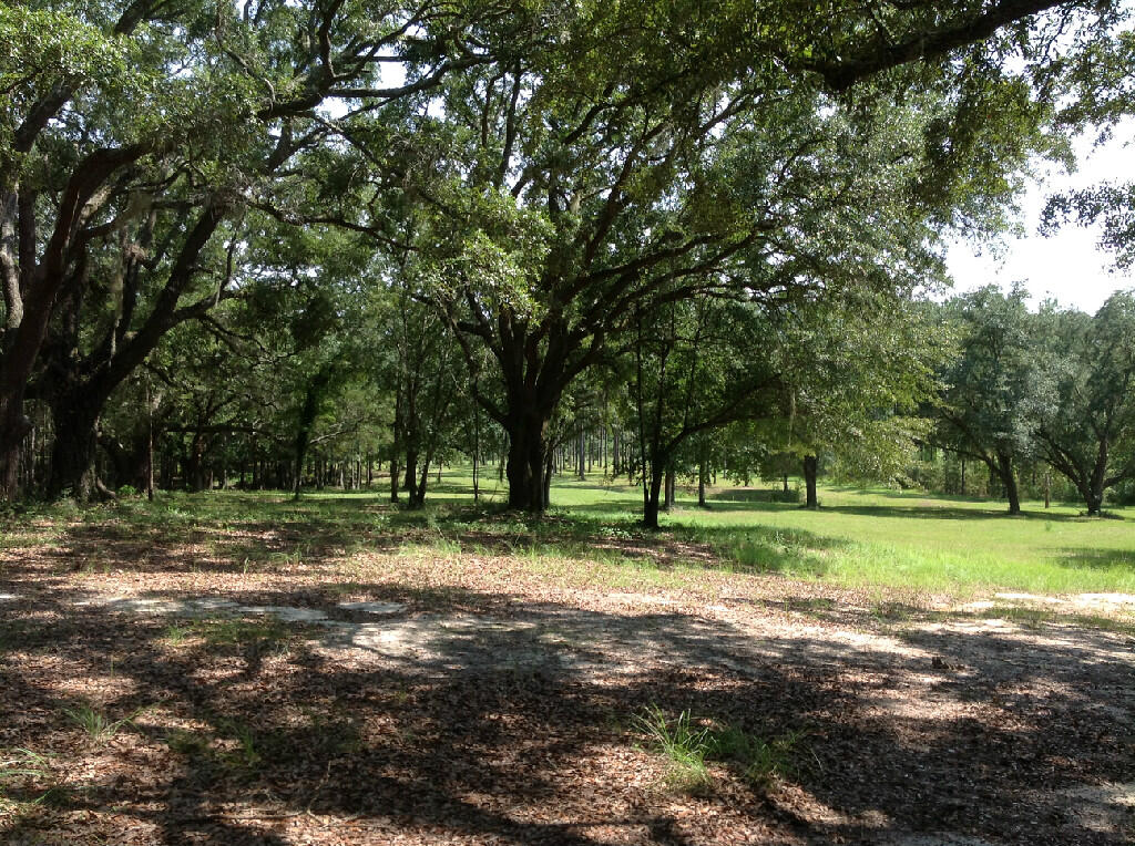 48 White Oak Lane Bonifay FL 32425