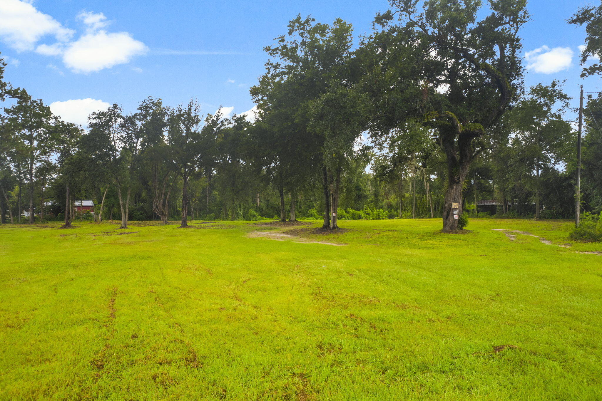 Wewahitchka FL 32465