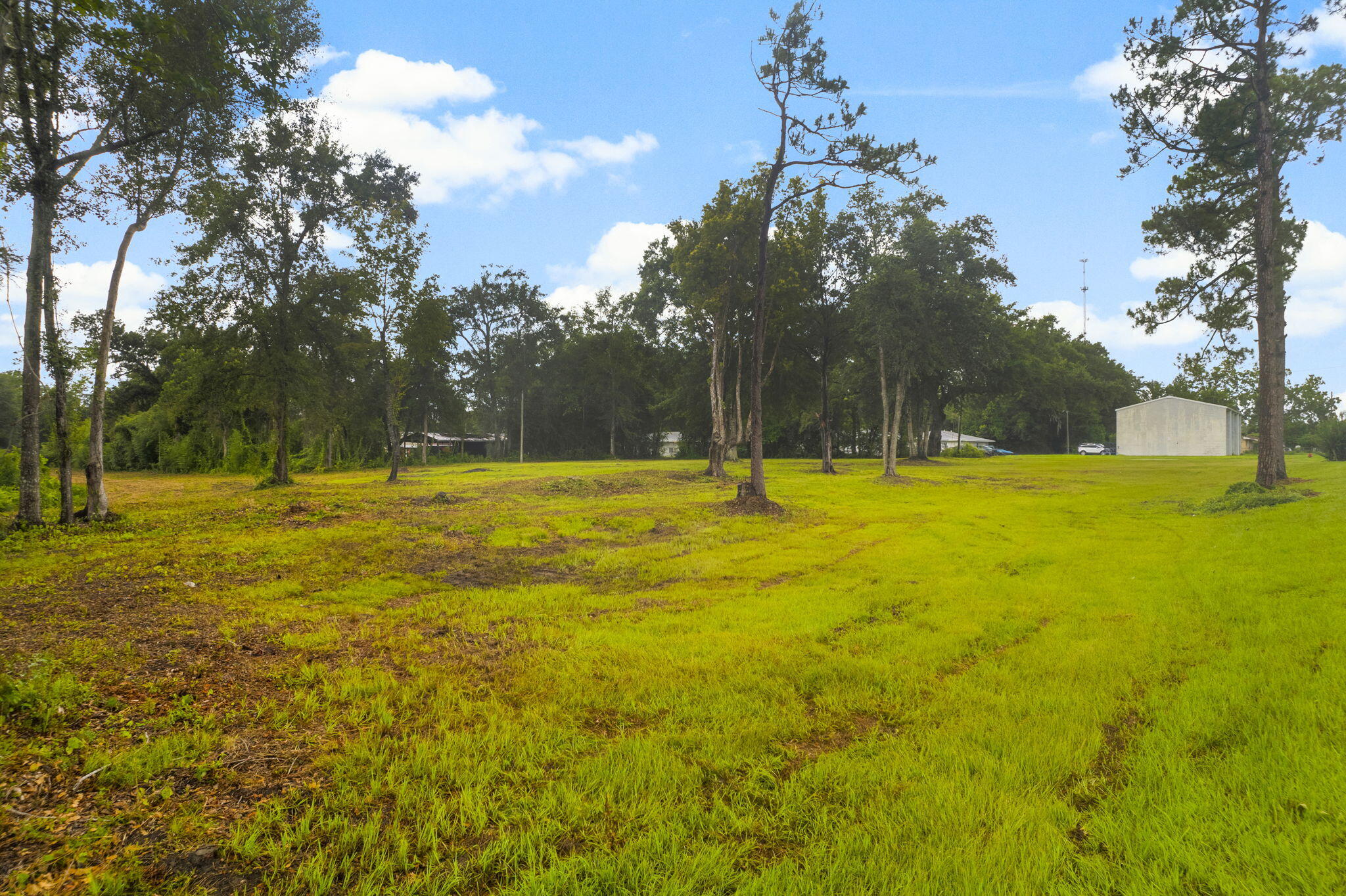 Wewahitchka FL 32465