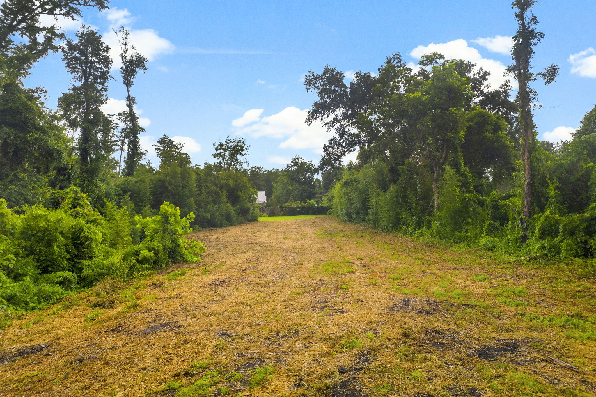 Wewahitchka FL 32465