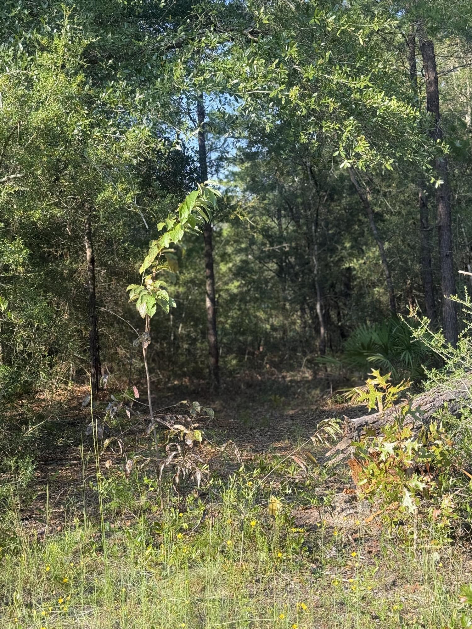 Tbd W Fernwood Court Defuniak Springs FL 32433