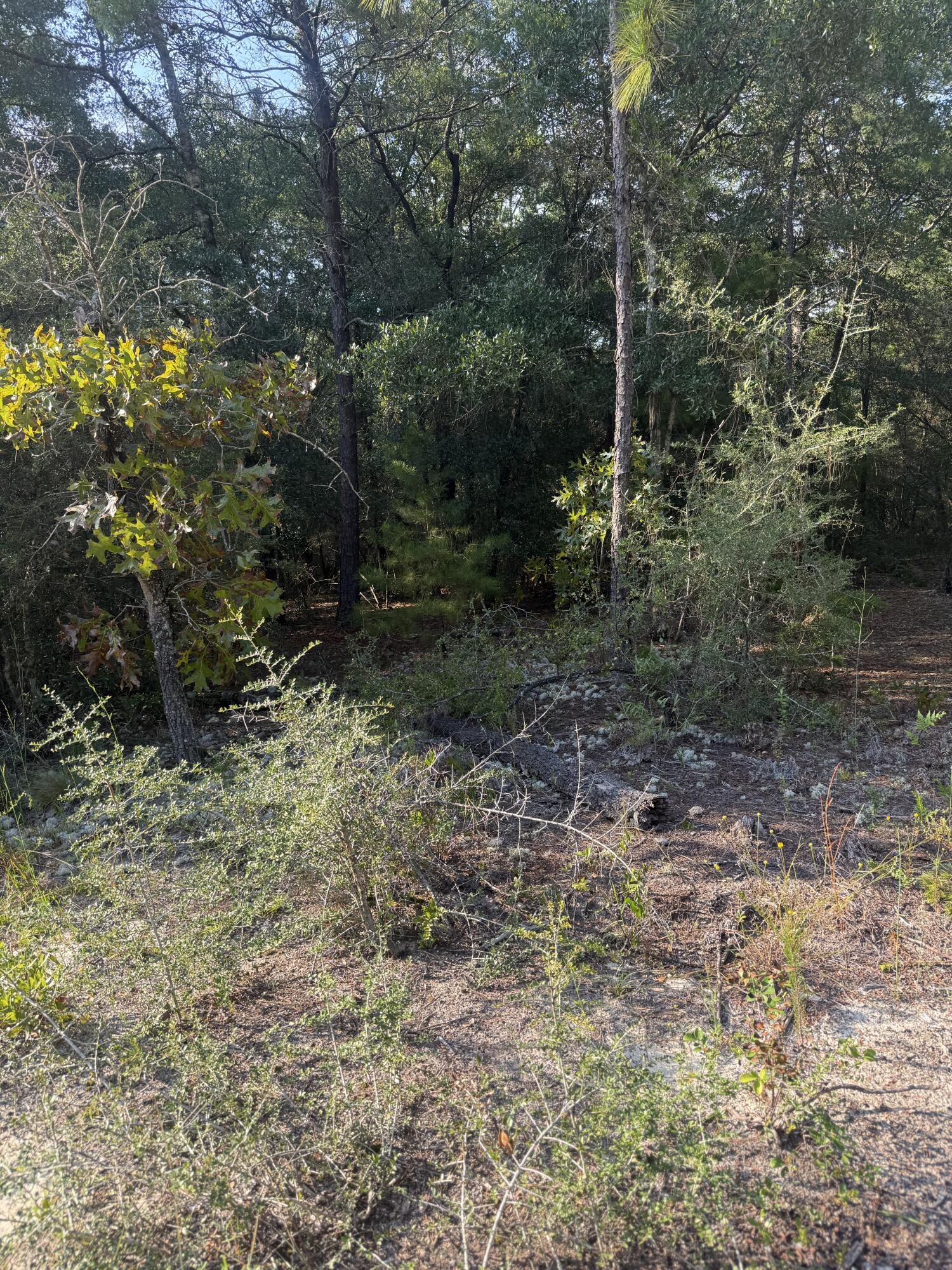 Tbd W Fernwood Court Defuniak Springs FL 32433