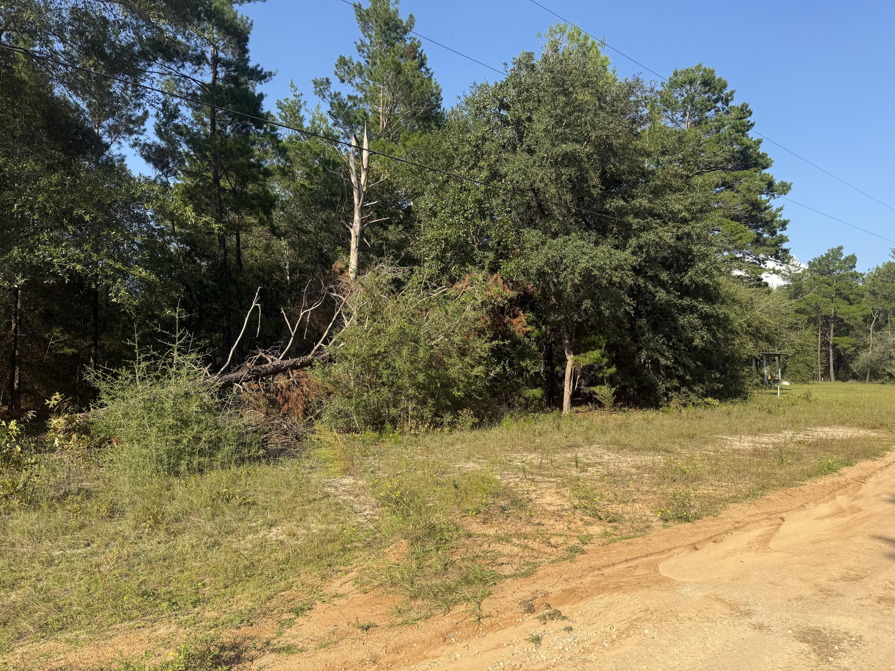 Tbd W Fernwood Court Defuniak Springs FL 32433