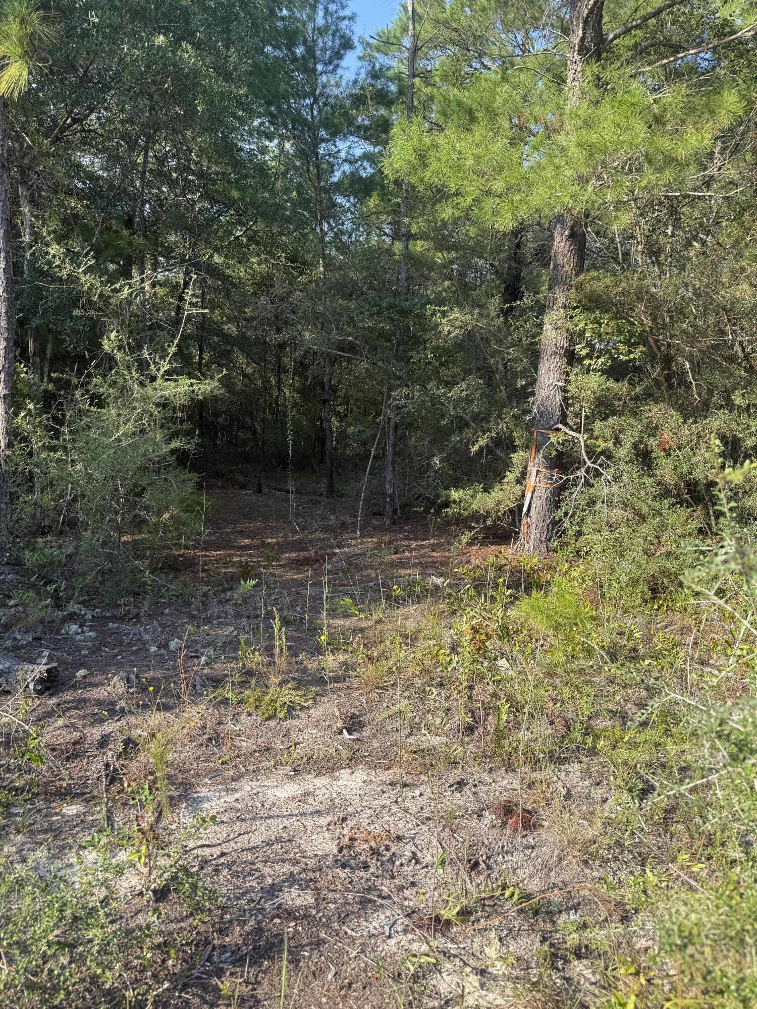 Tbd W Fernwood Court Defuniak Springs FL 32433