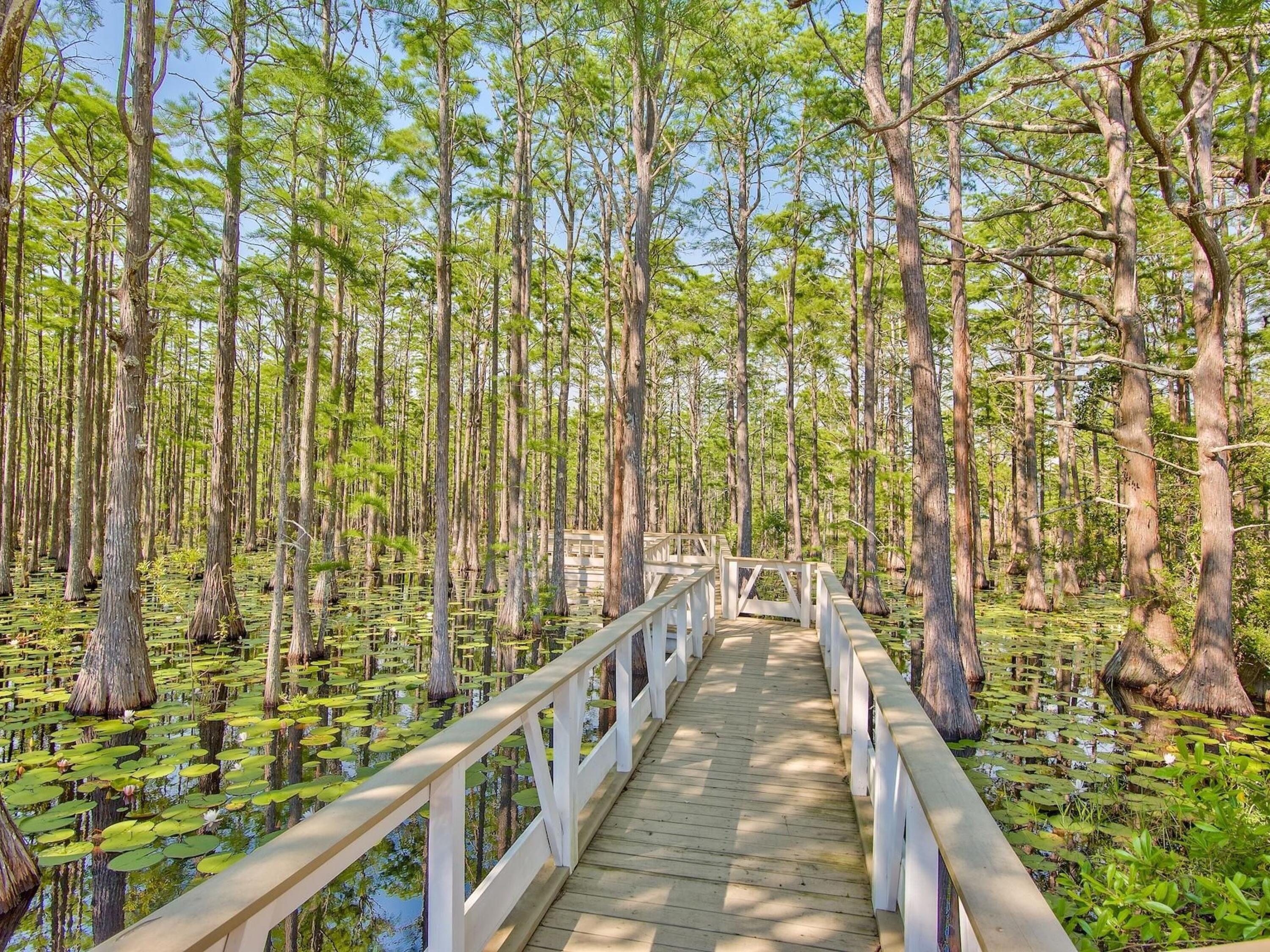 Lot 6 Cypress Drive Santa Rosa Beach FL 32459