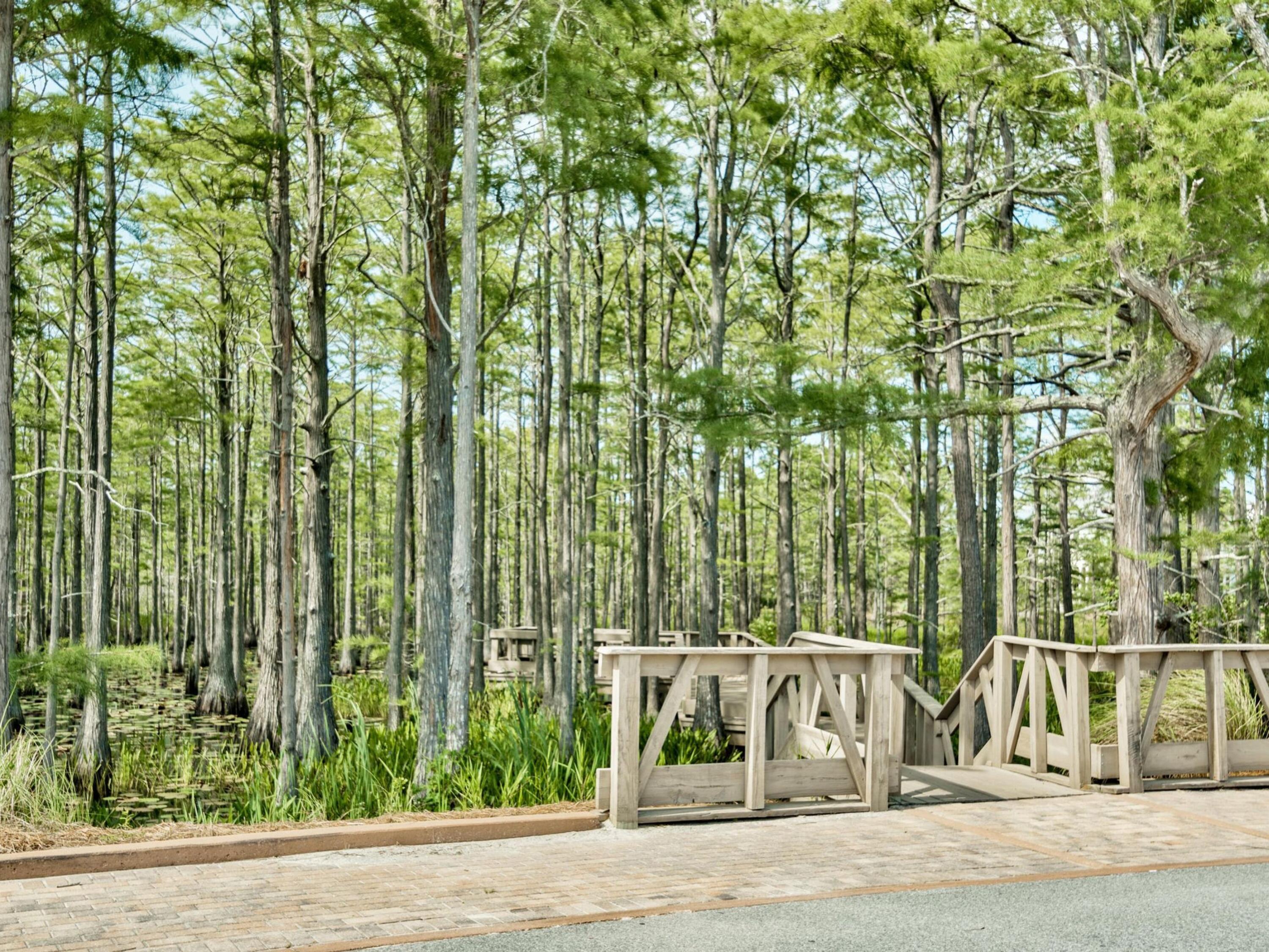 Lot 6 Cypress Drive Santa Rosa Beach FL 32459