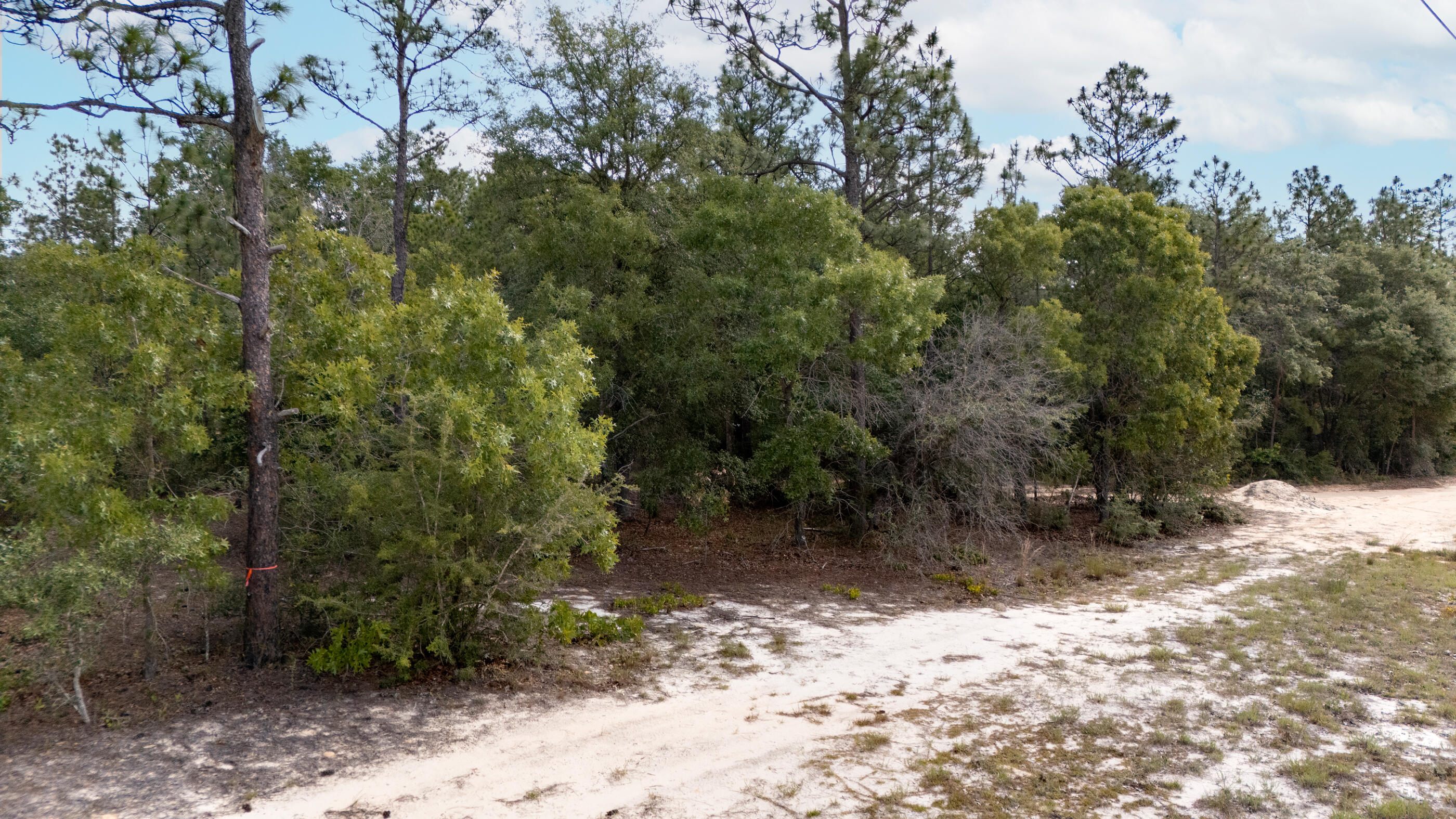 0 Homestead Road Baker FL 32531