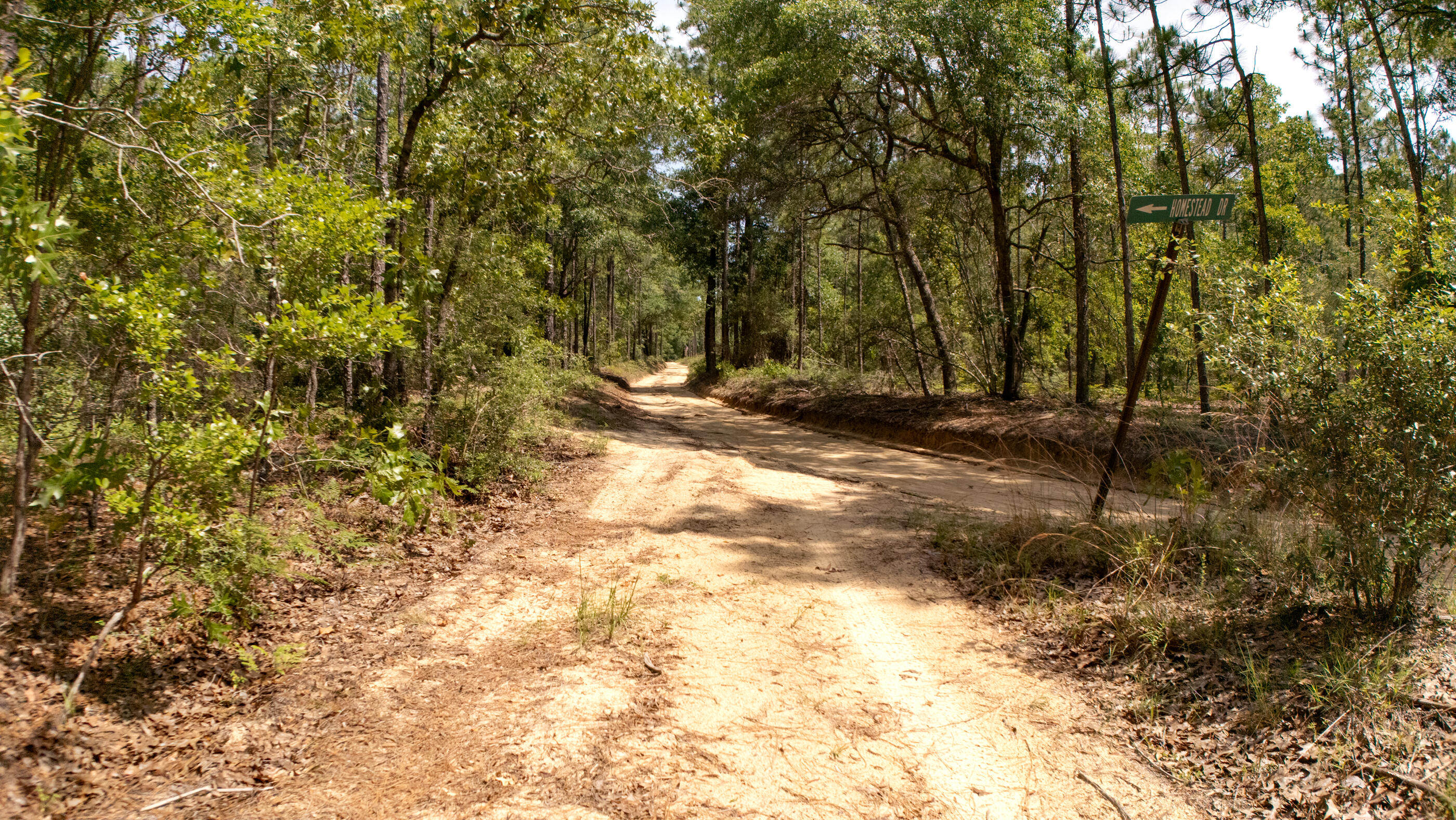 0 Homestead Road Baker FL 32531