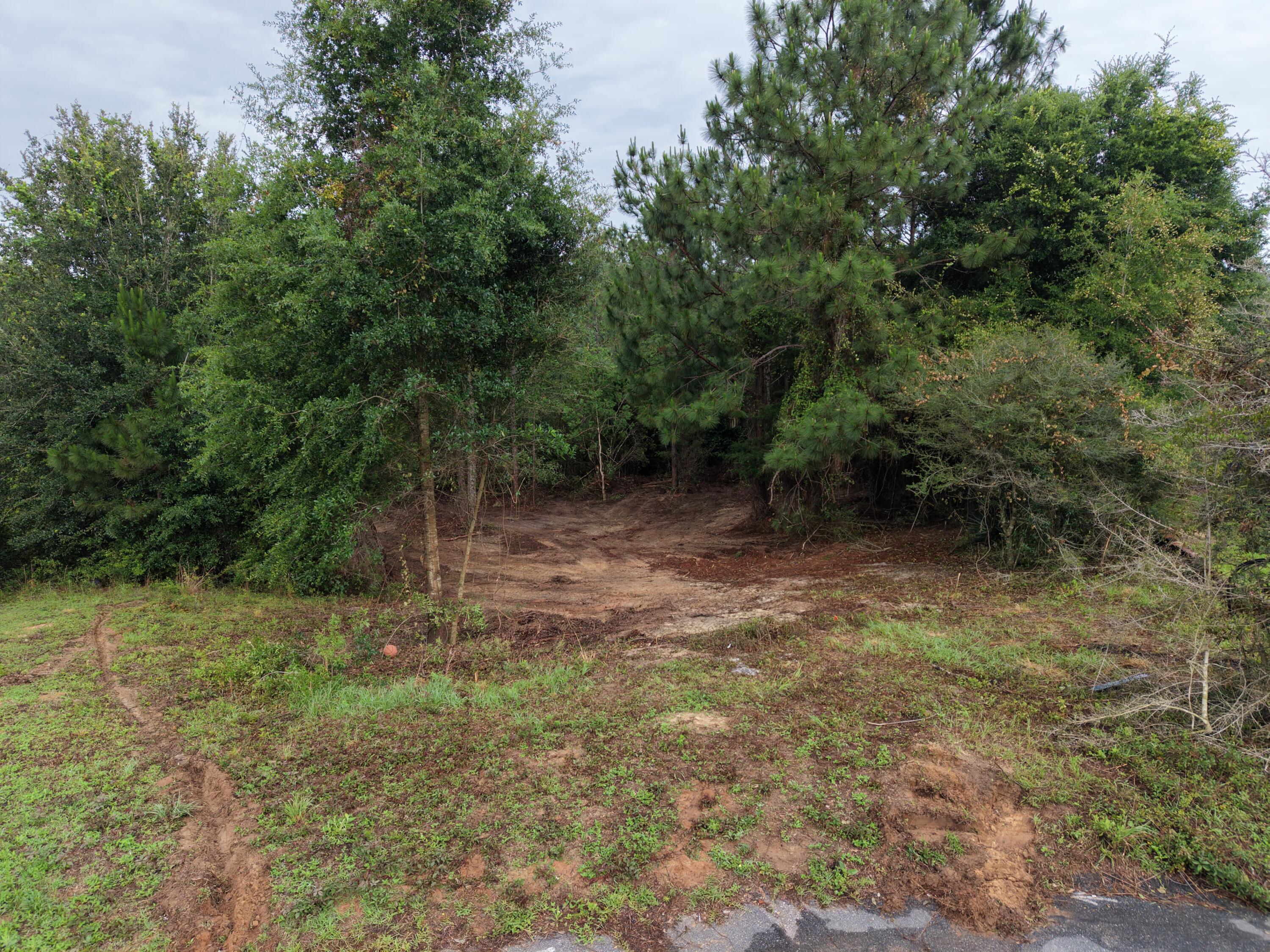 4672 Browning Court Crestview FL 32539