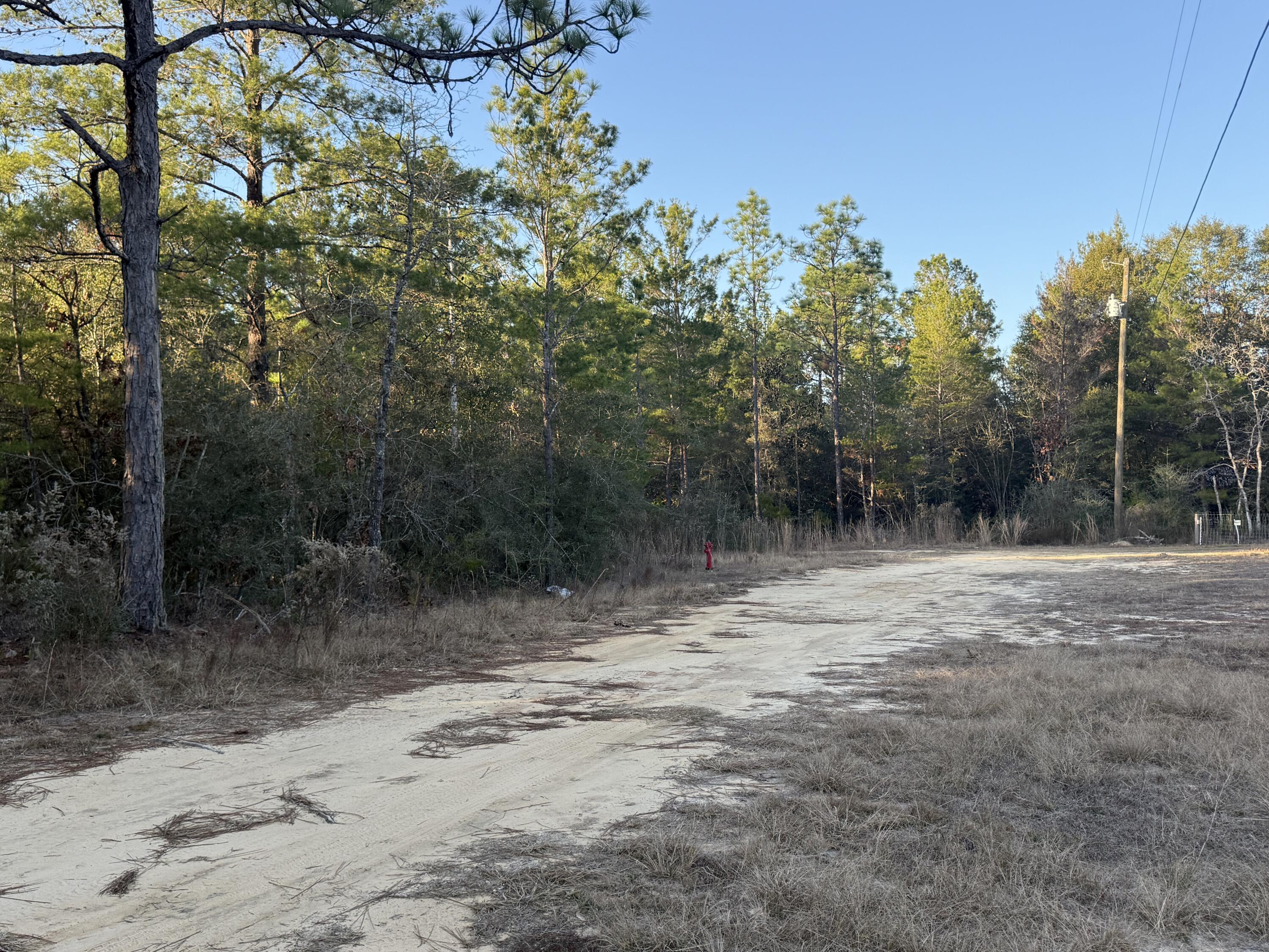 Lot 5 Blk 54 On Forest Lane Defuniak Springs FL 32433